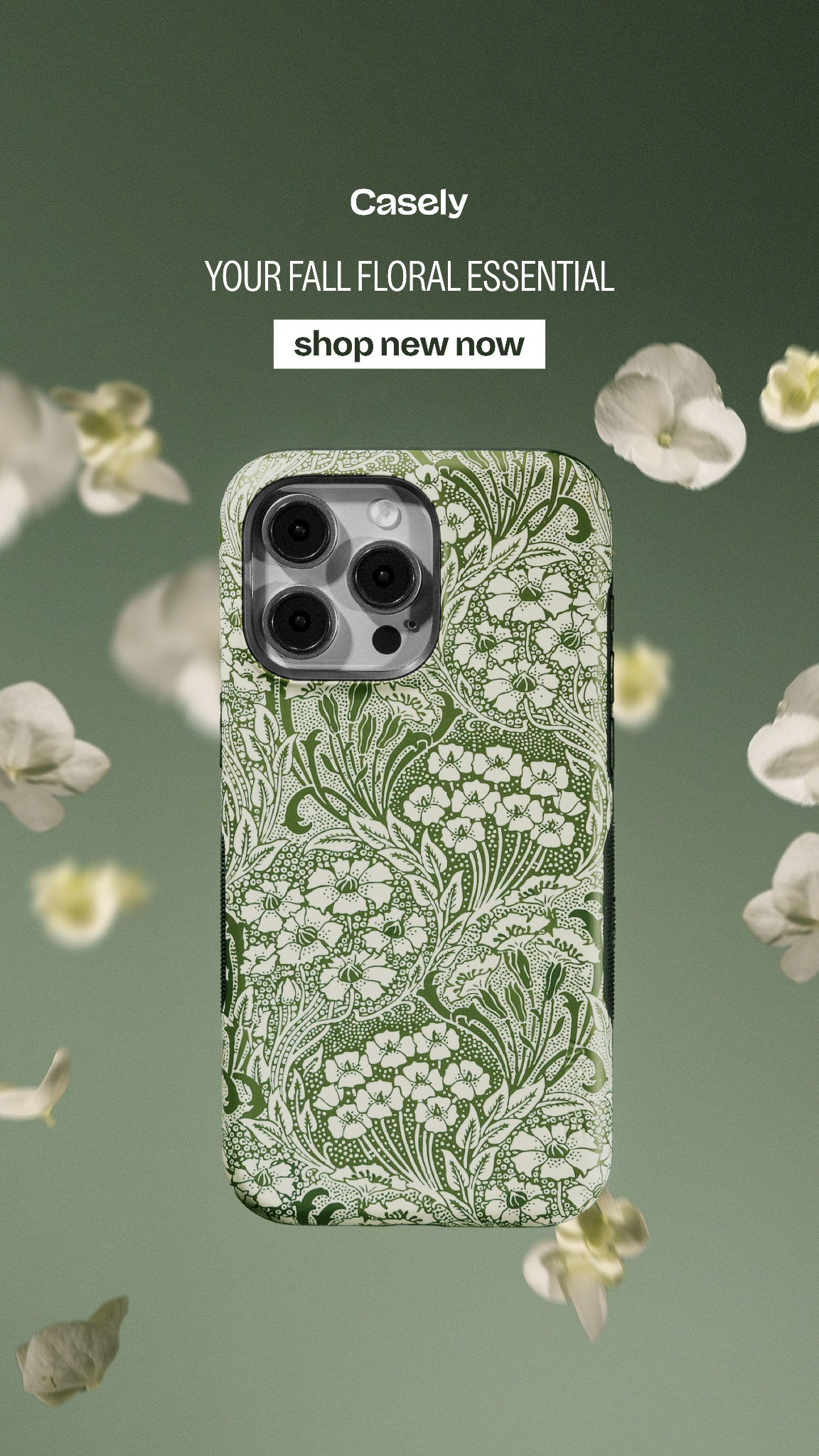 Casely Facebook ad