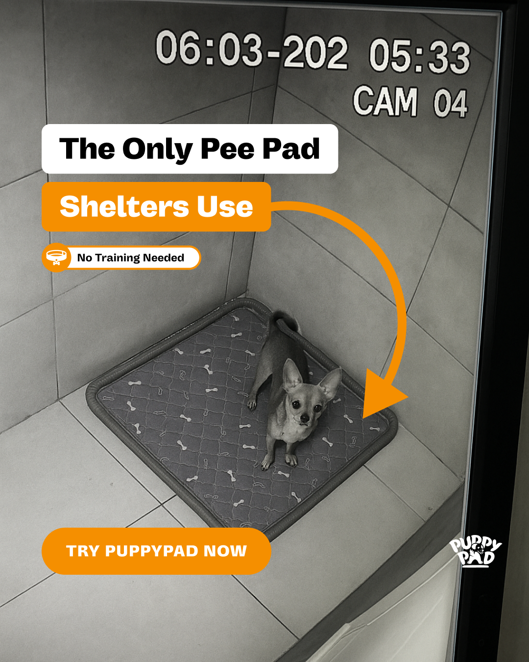 PuppyPad Facebook ad