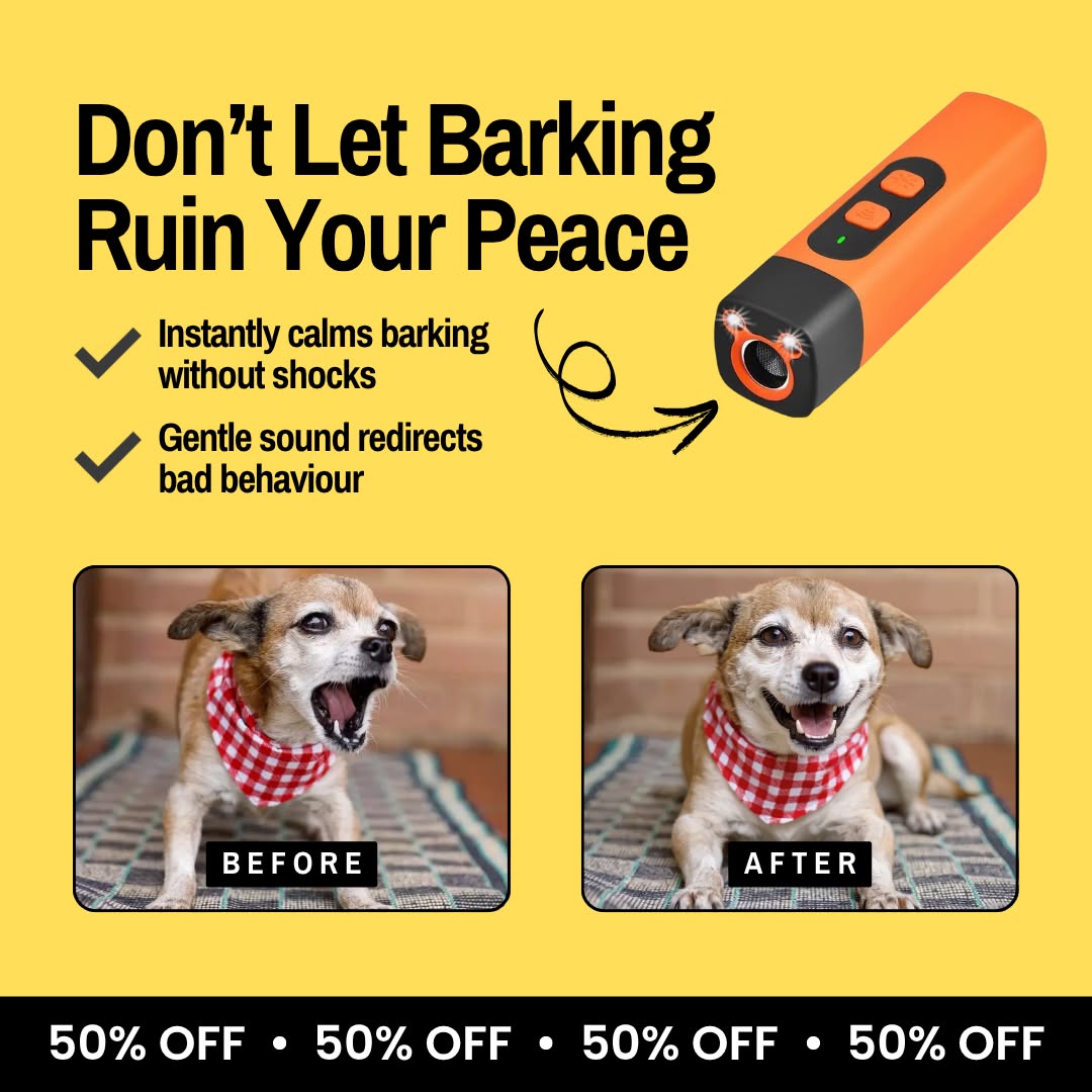 Hunters Doggy Daycare Facebook ad