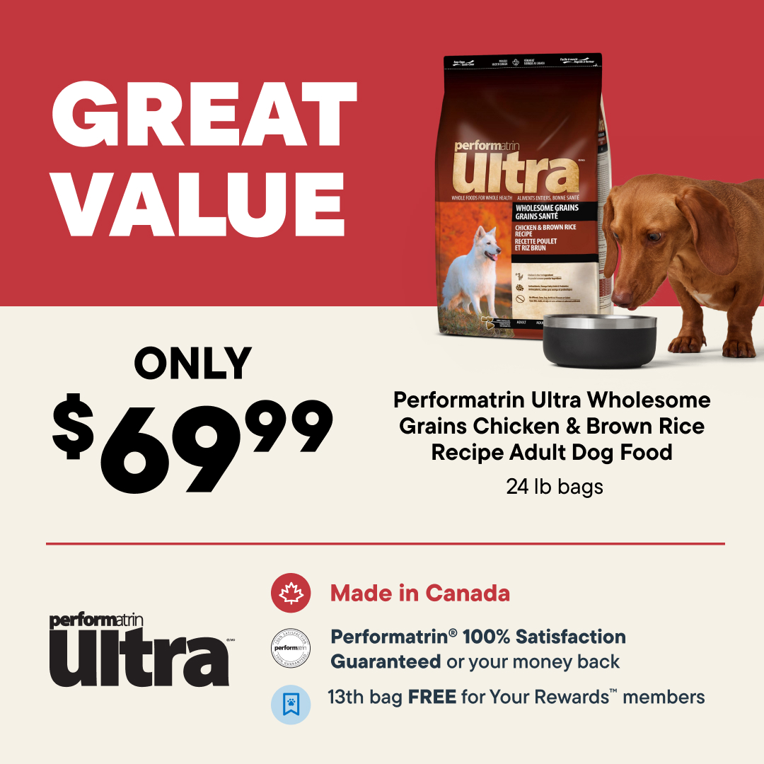 Pet Valu Facebook ad