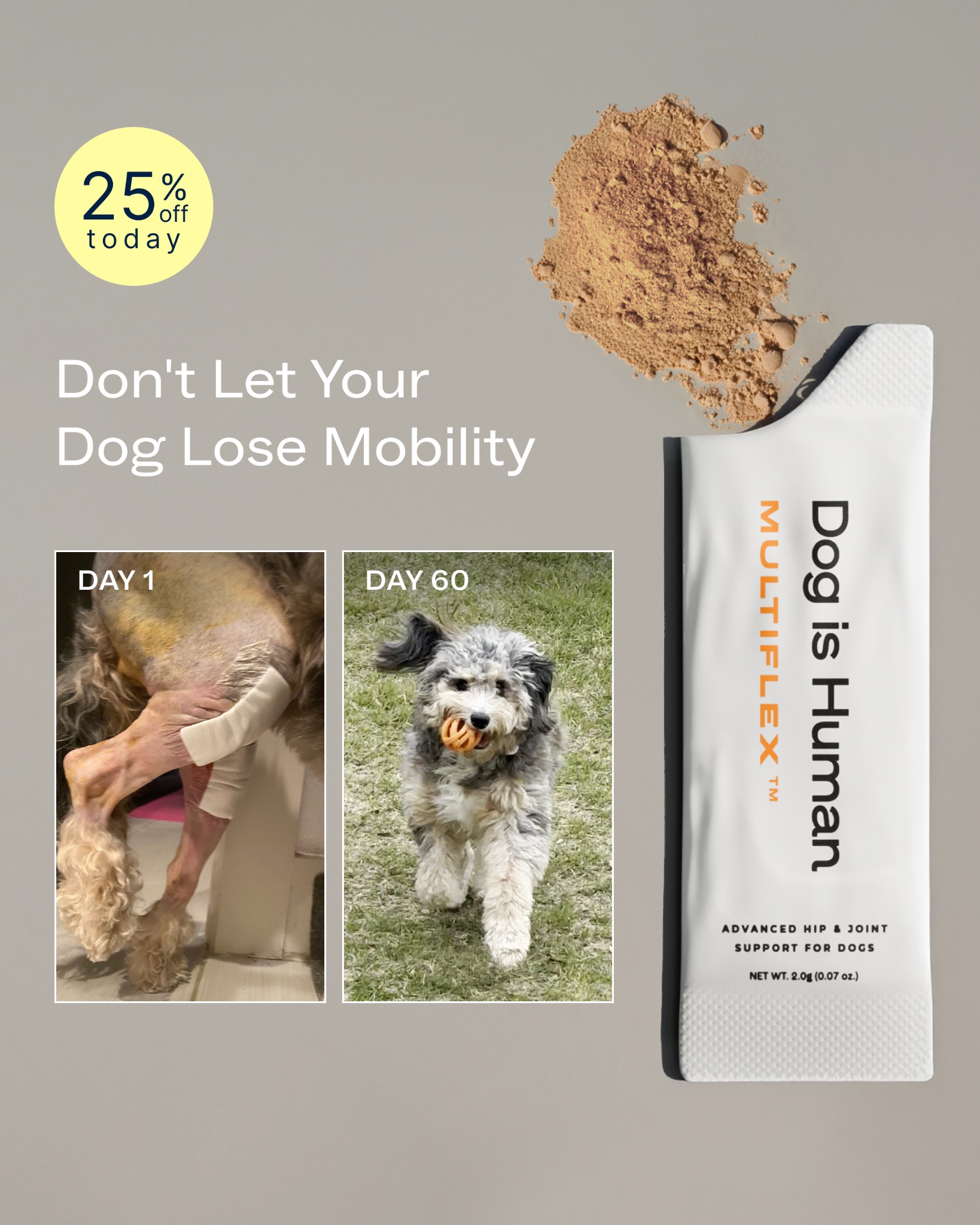 Dog is Human Facebook ad