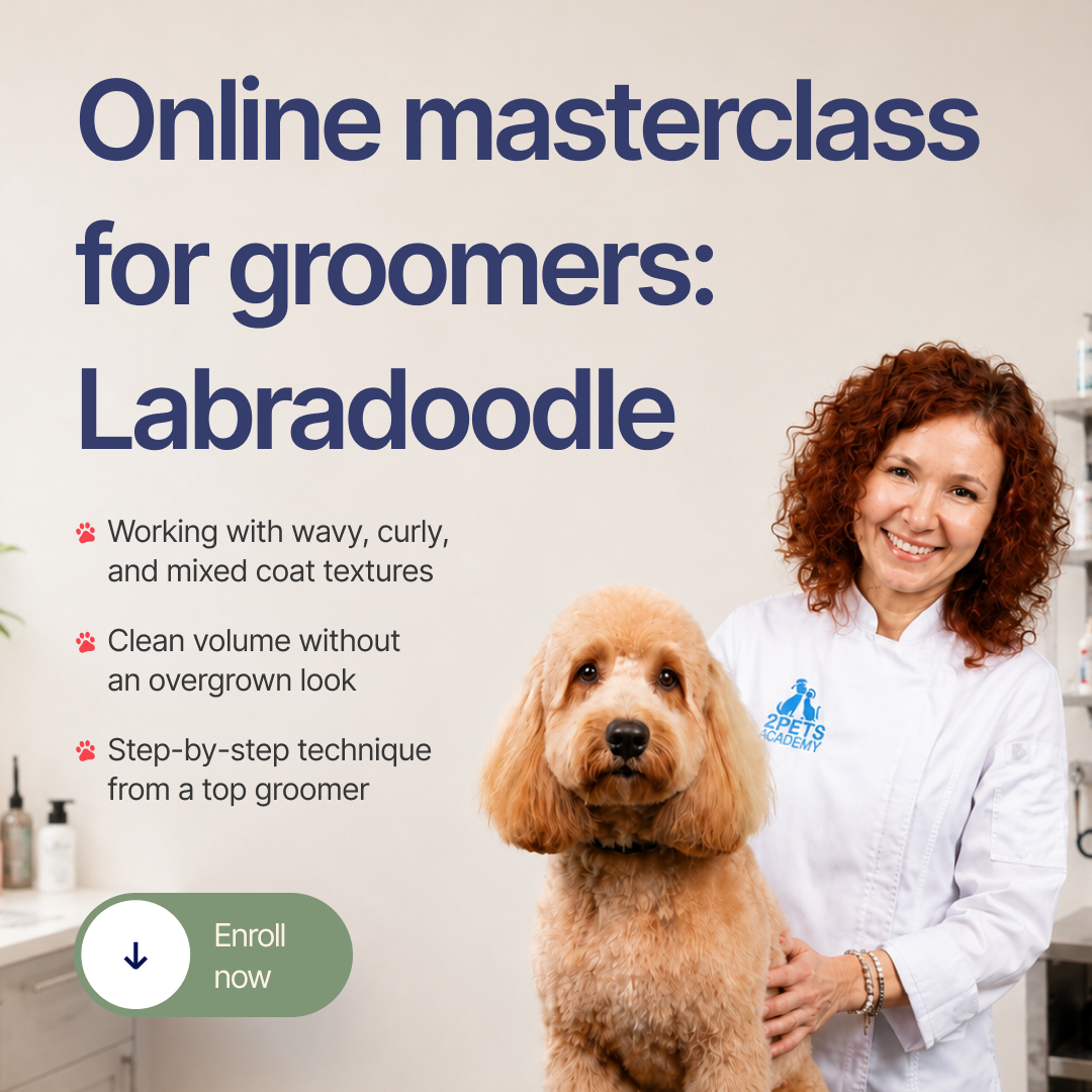 O2Pets Academy Facebook ad: Master the art of precision grooming