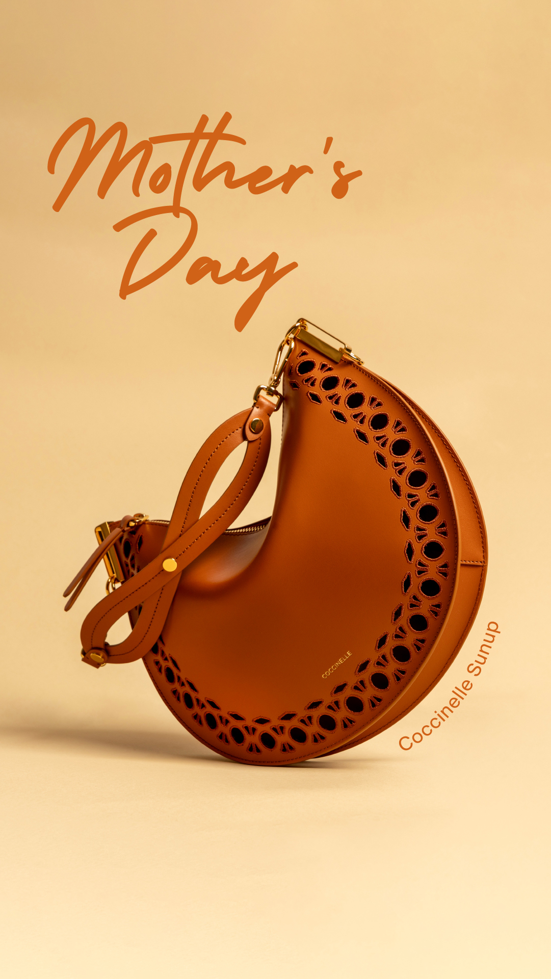 COCCINELLE Facebook ad