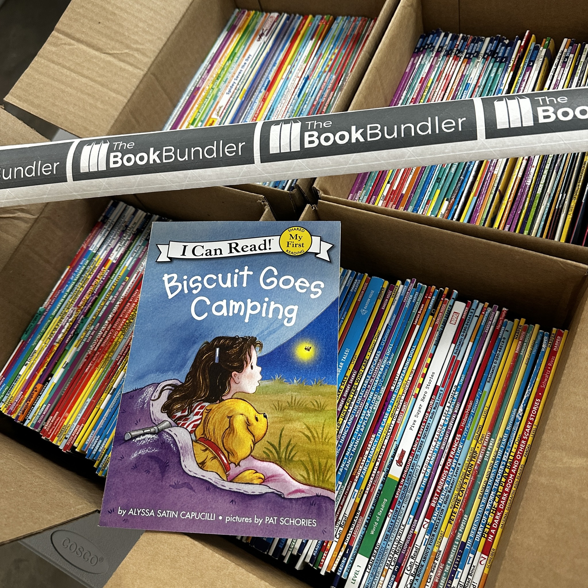 The Book Bundler Facebook ad: $1 Leveled Readers are BACK.