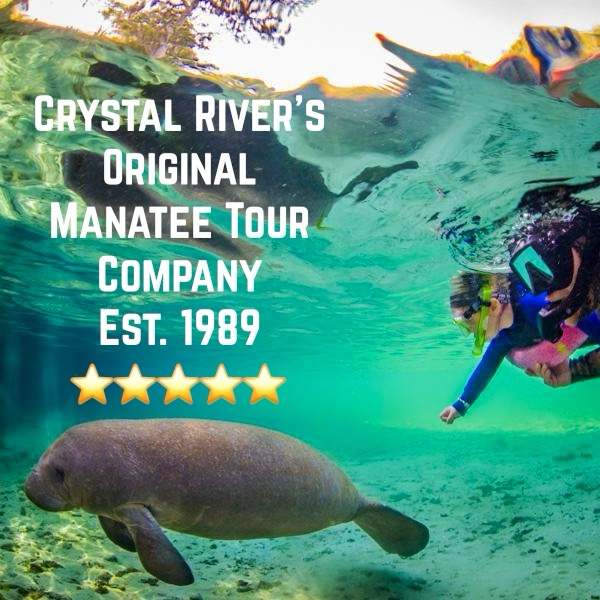Bird's Underwater Dive Center Facebook ad: Birds Underwater Manatee Tours