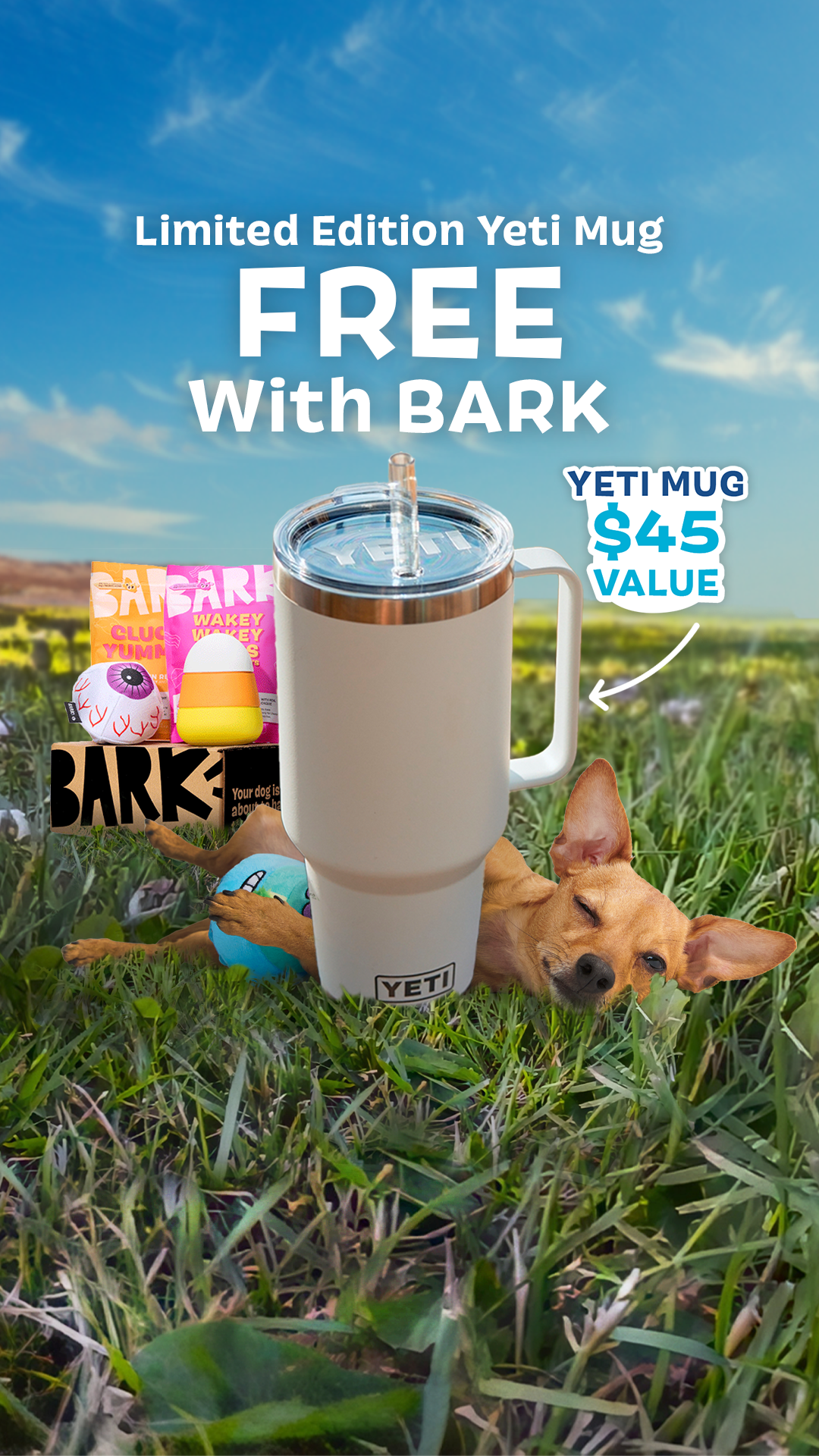 Super Chewer BarkBox Facebook ad from Jun 30, 2026