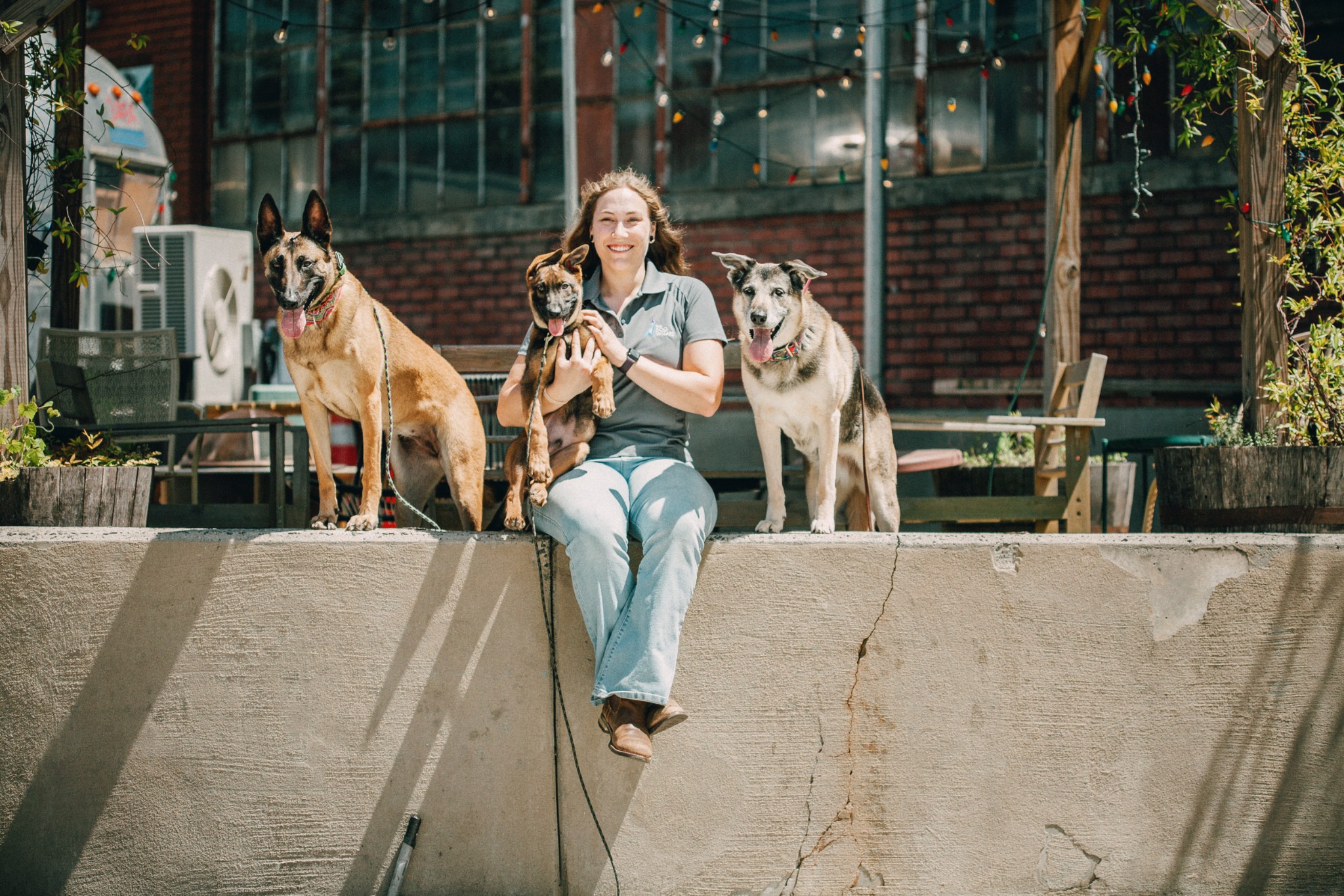 Charlotte Dog Wizard Facebook ad