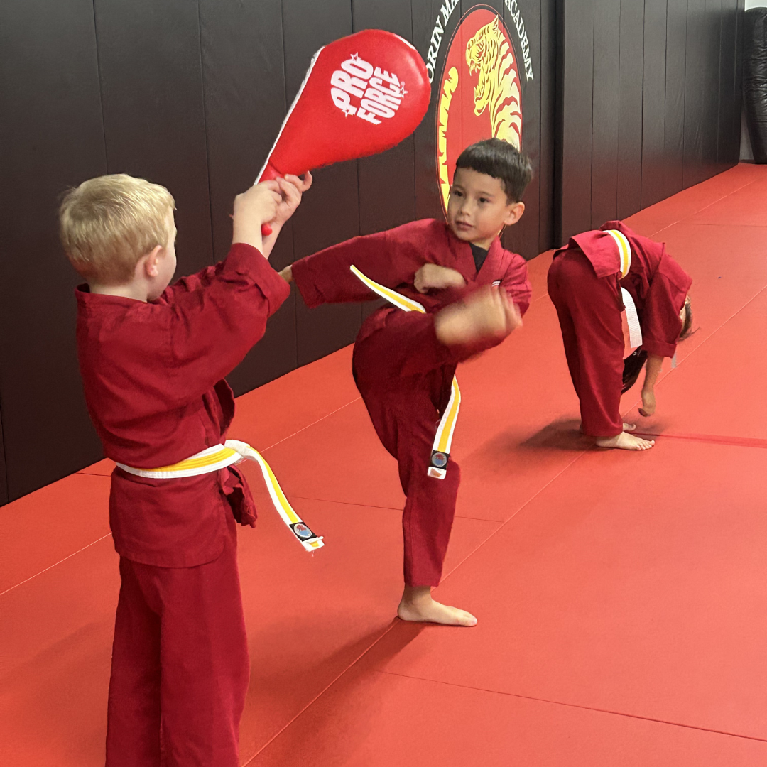 Torin Martial Arts Academy Facebook ad