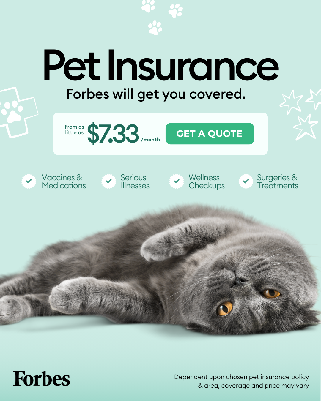 Forbes Advisor Facebook ad: Say To Expensive Vet Bills In 2026
