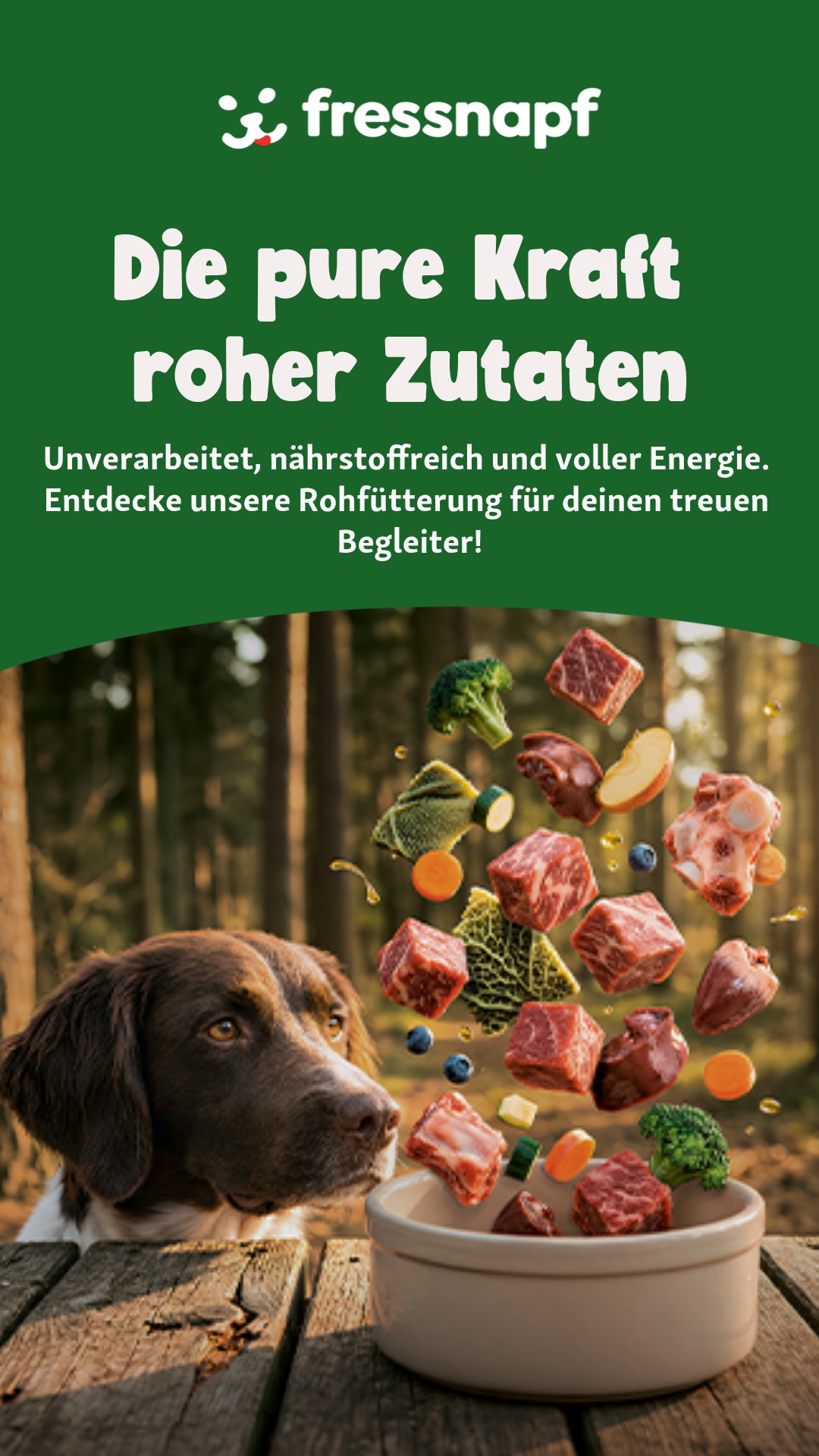 Fressnapf Deutschland Facebook ad