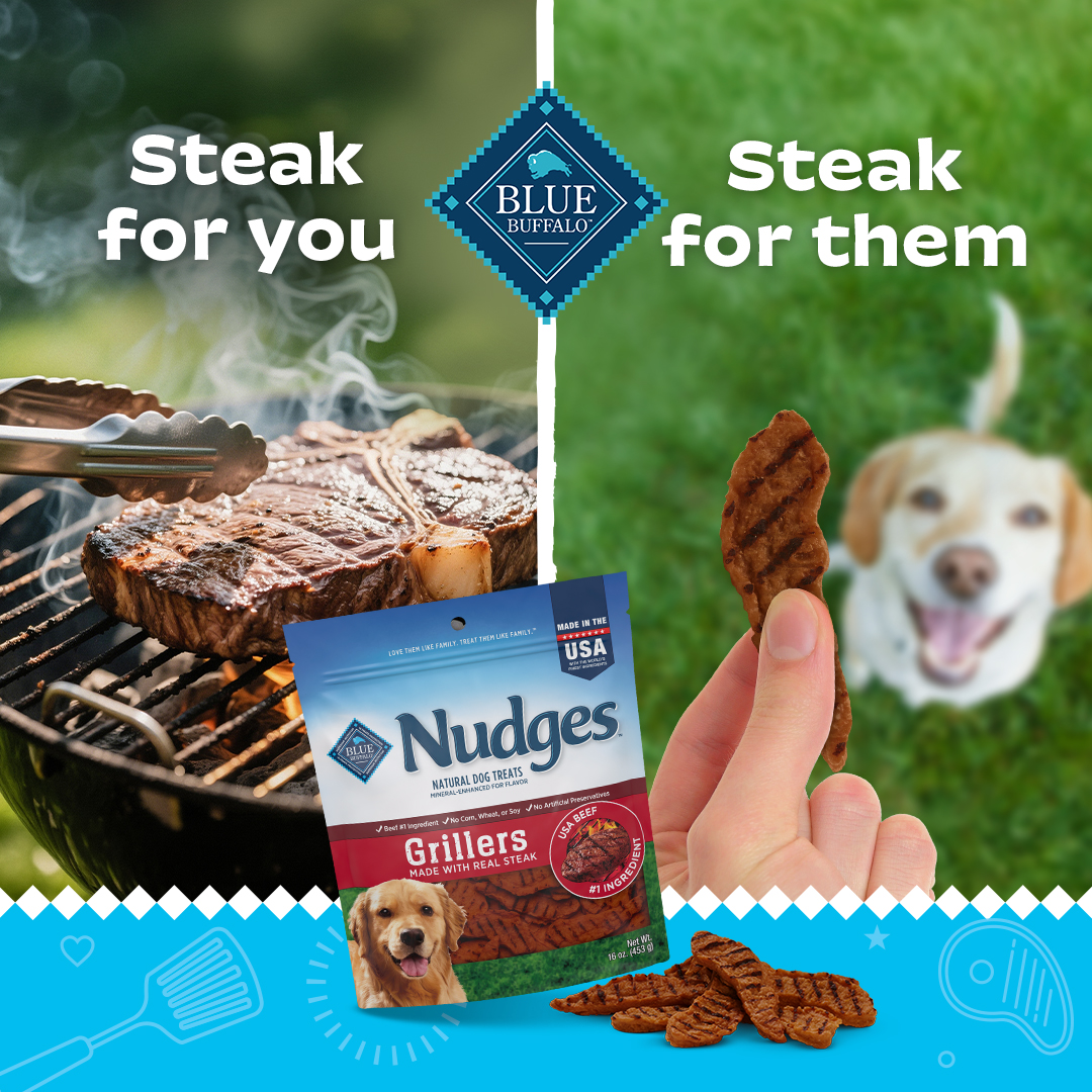 Blue Buffalo Facebook ad