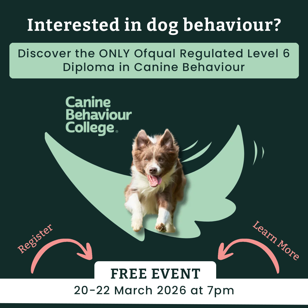 The Canine Behaviour College Facebook ad: Discover the Path to a Level 6 Canine Behaviour Diploma