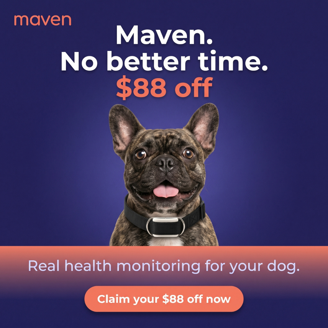 Maven Pet Facebook ad