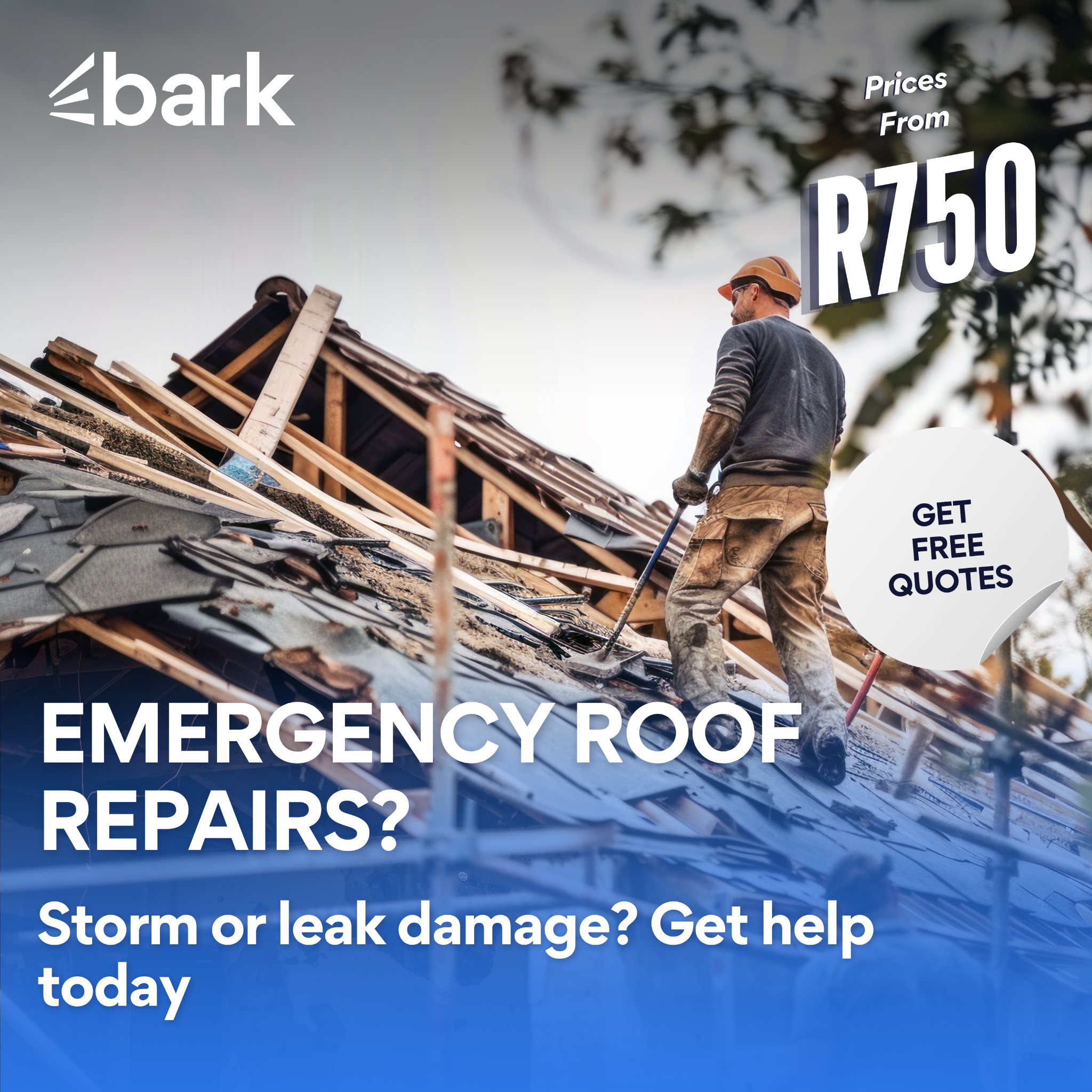 Bark.com Facebook ad