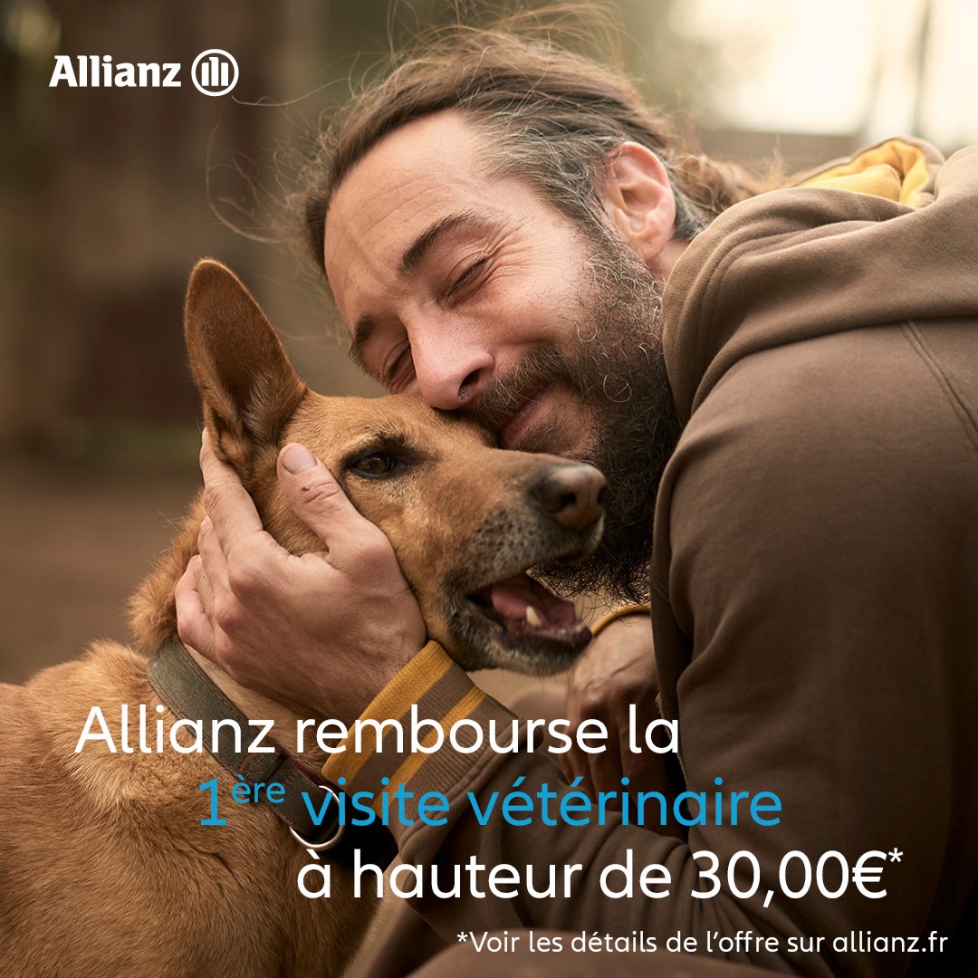 Allianz France Facebook ad