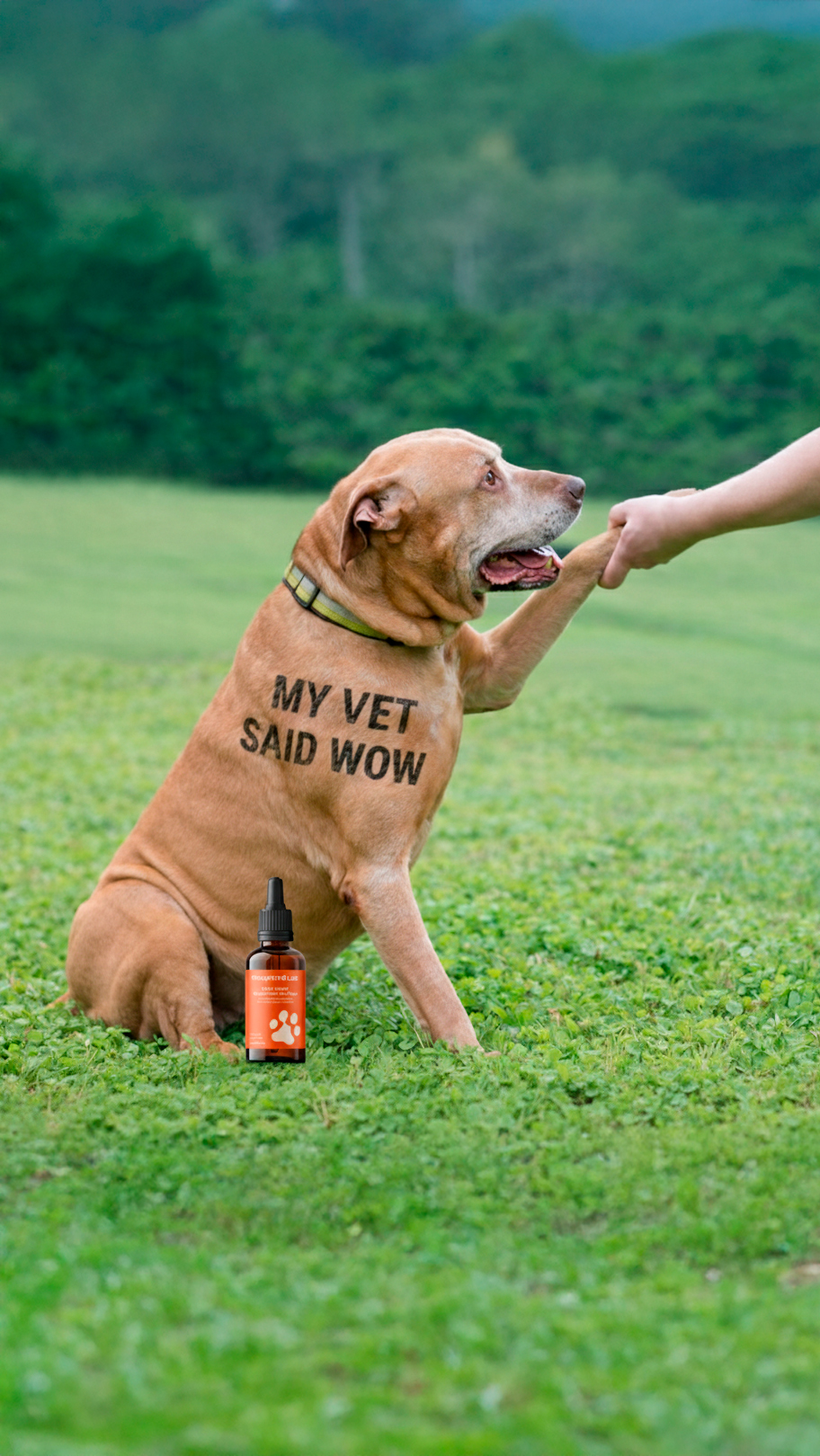 Vet-Approved Pet Products Facebook ad