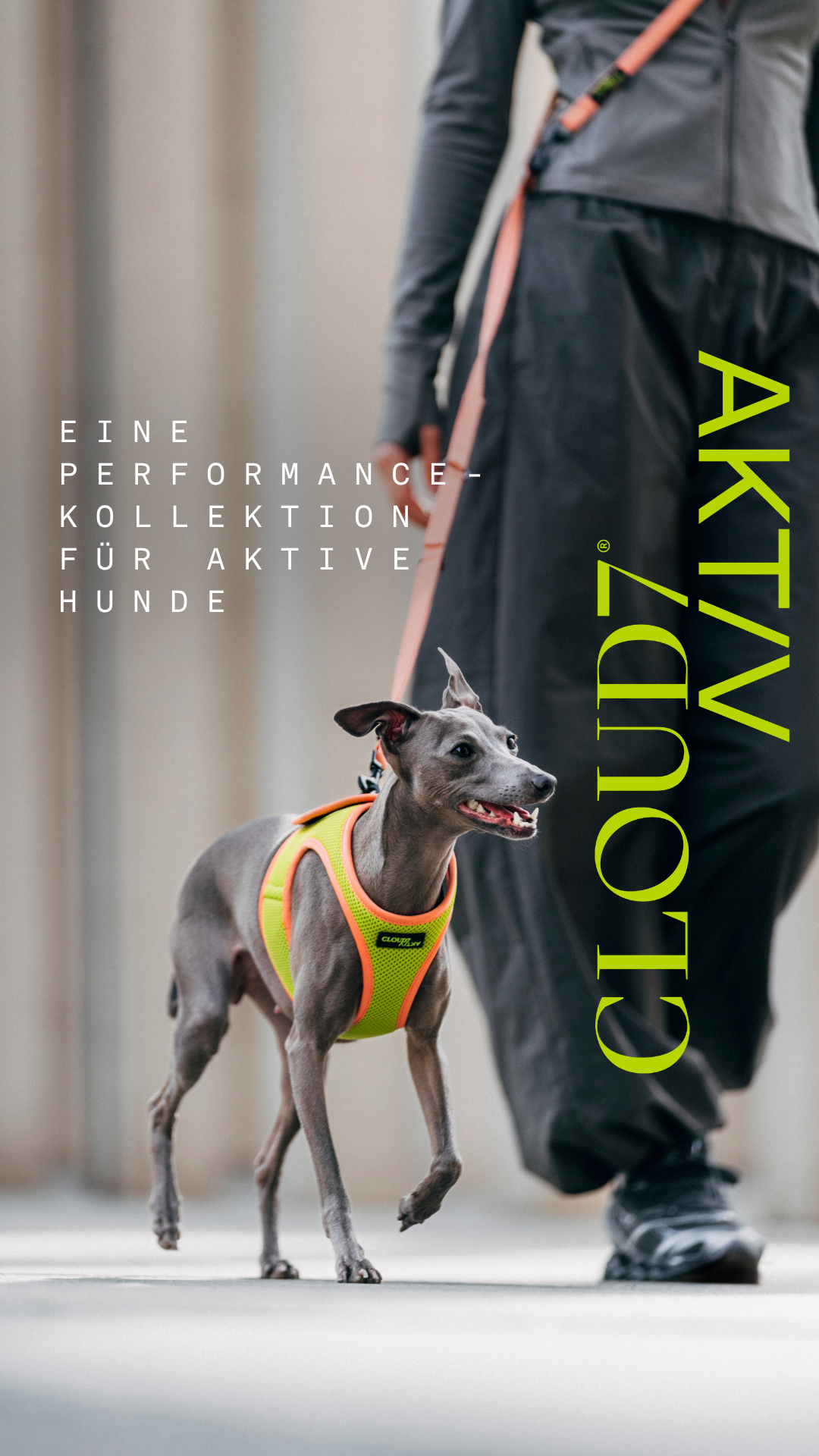 Cloud7 Facebook ad: Entdecke CLOUD7AKTIV