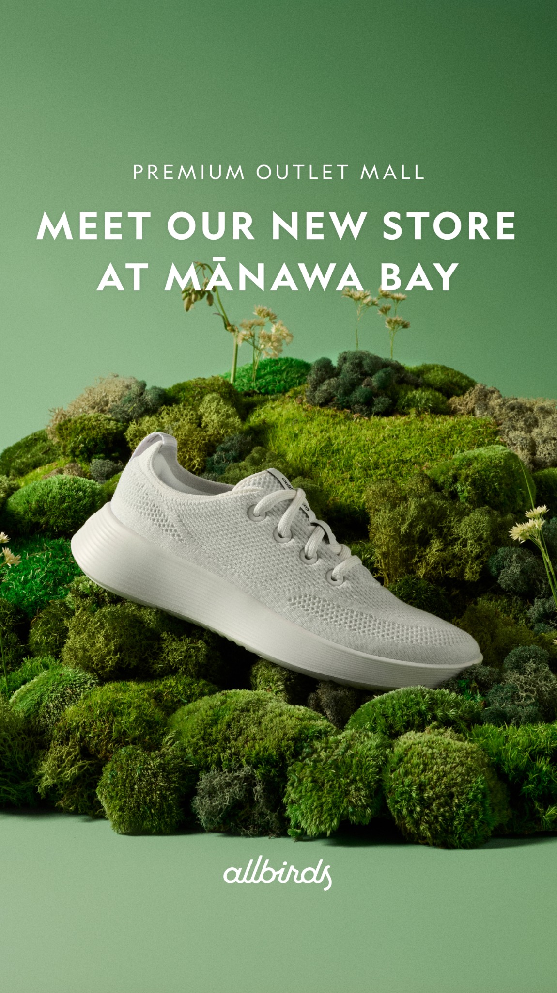 Allbirds New Zealand Facebook ad