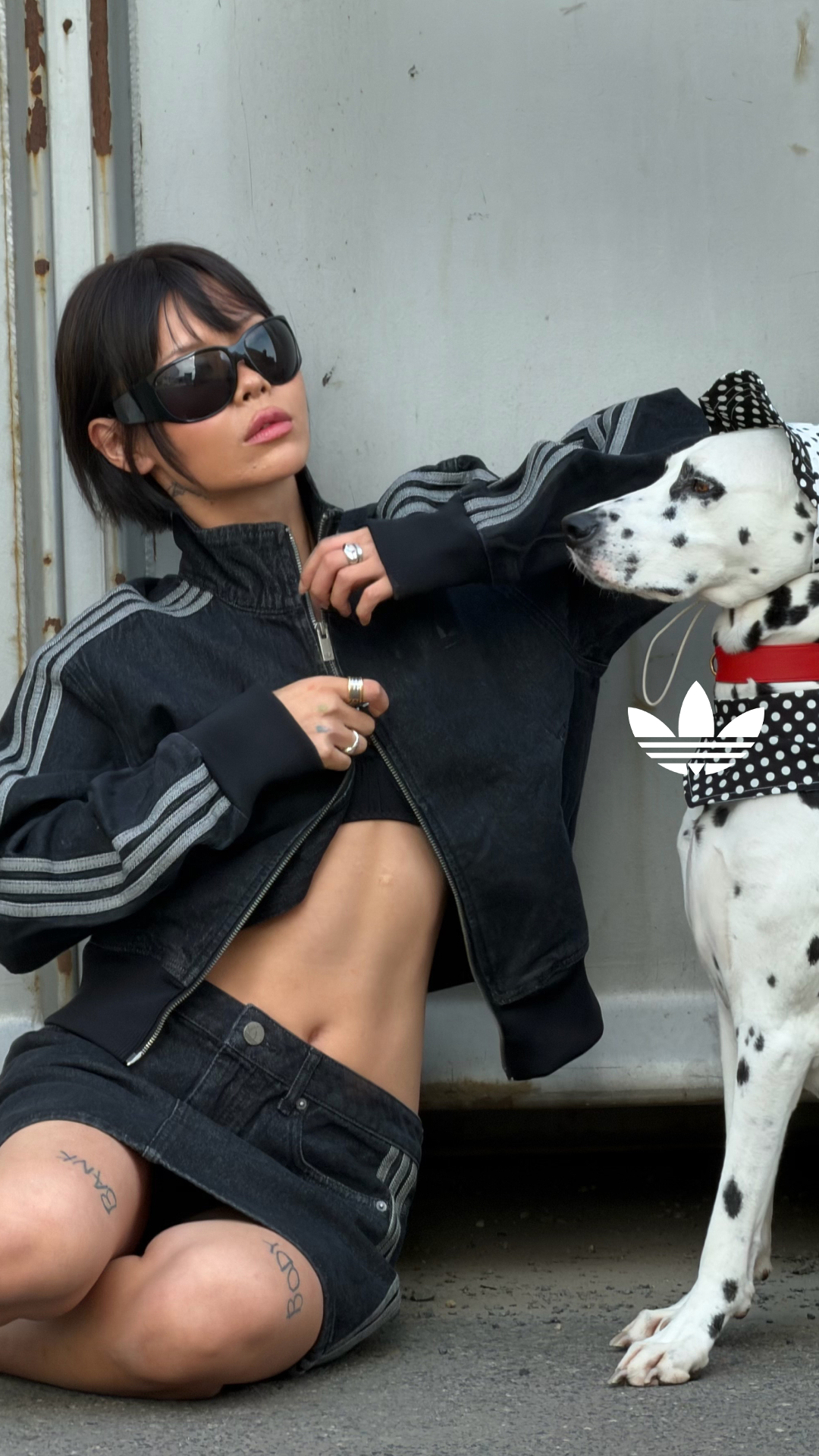 Zalando Brands Facebook ad: Denim, Knit & Icons.