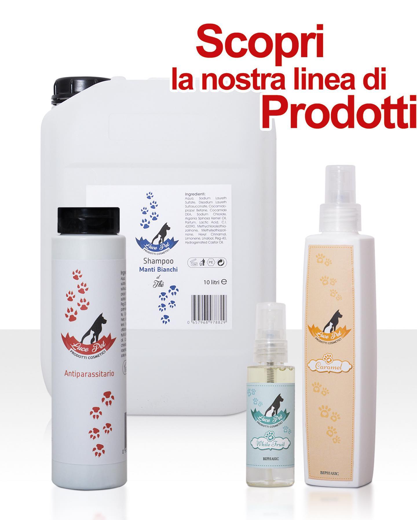 Luce Pet Facebook ad: Sappiamo che gli animali domestici sono come una…