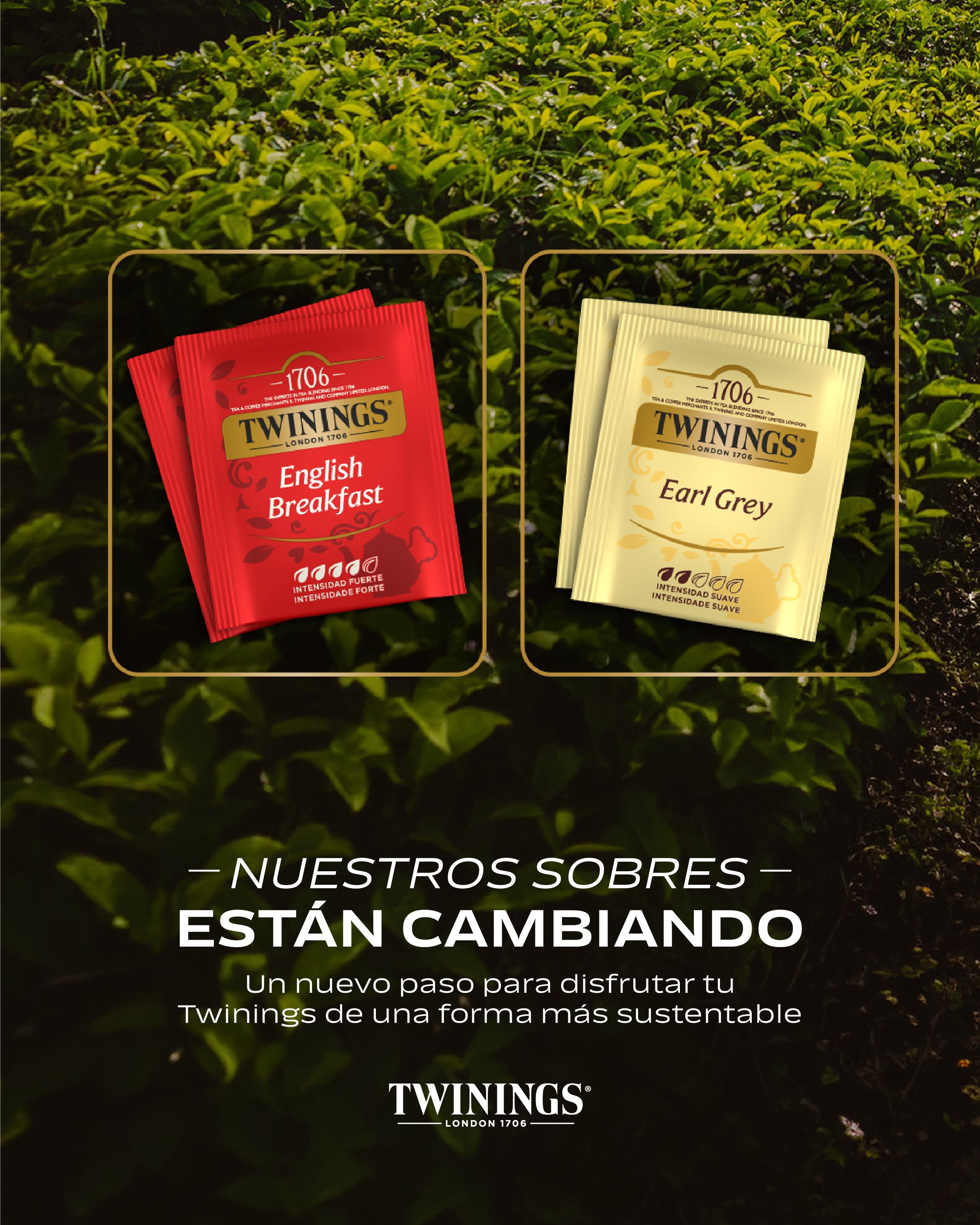 Twinings Chile Facebook ad: Un pequeño cambio por fuera que puede hacer…