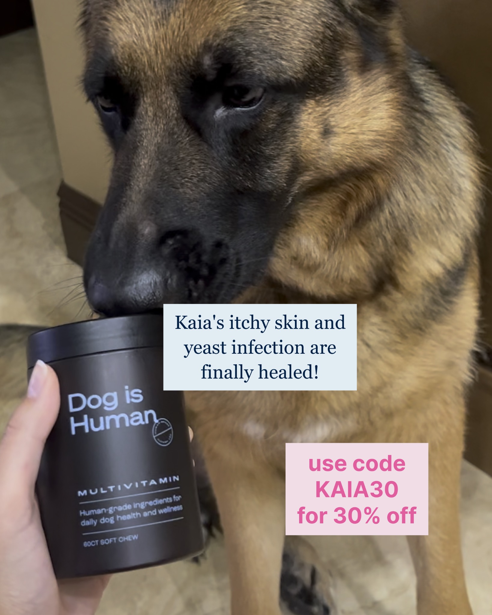 Dog is Human Facebook ad