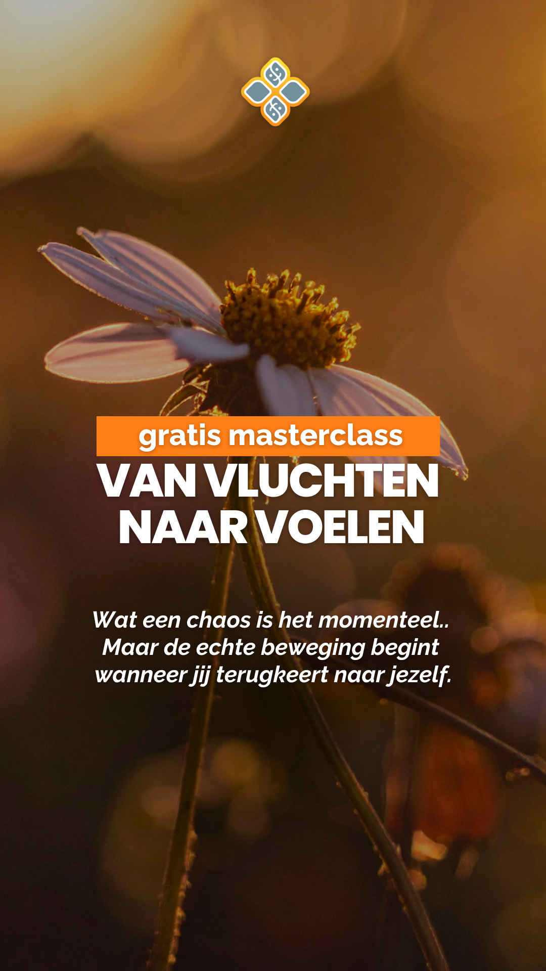 Hylke Bonnema Facebook ad