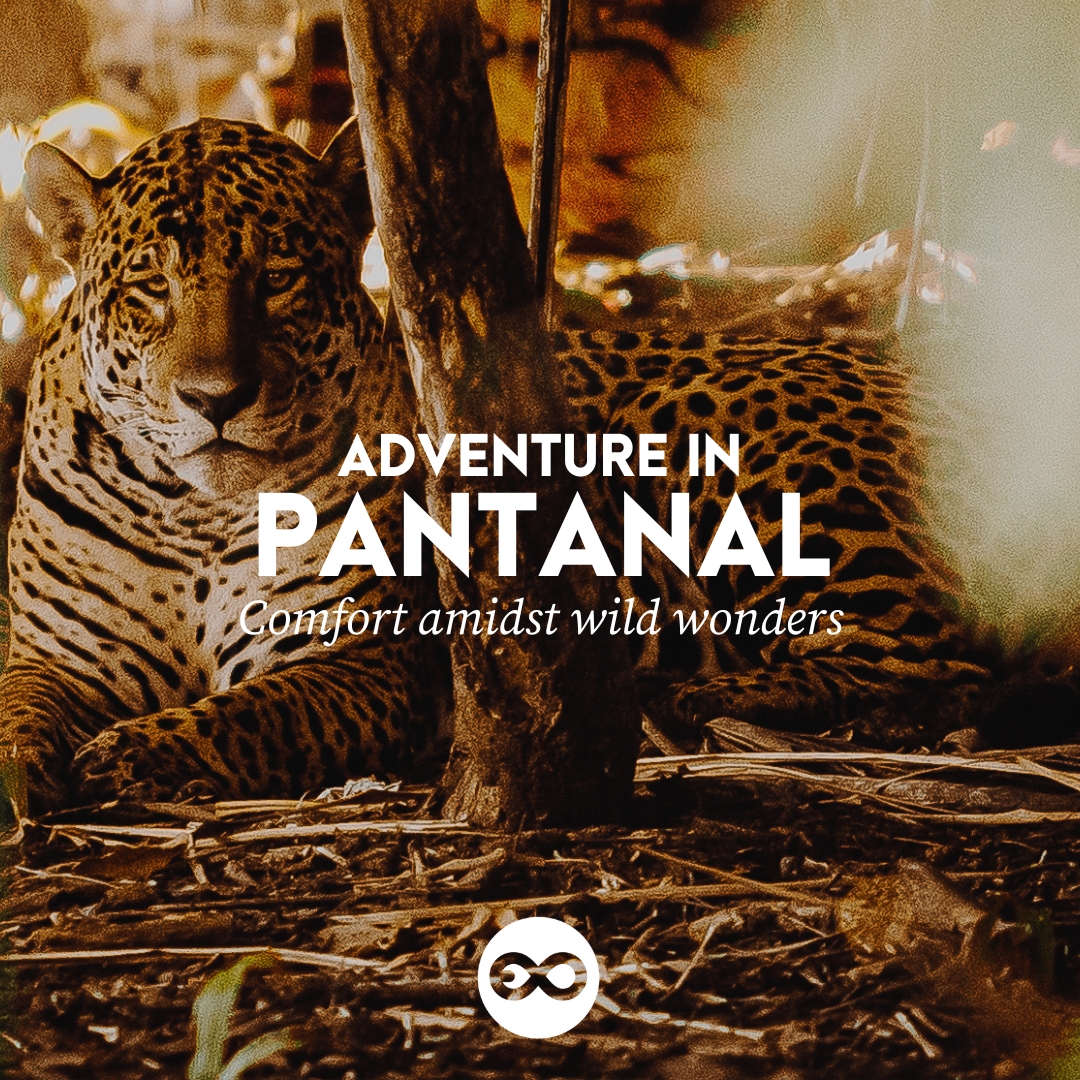 Planeta EXO Facebook ad: Experience the Wild Heart of the Pantanal