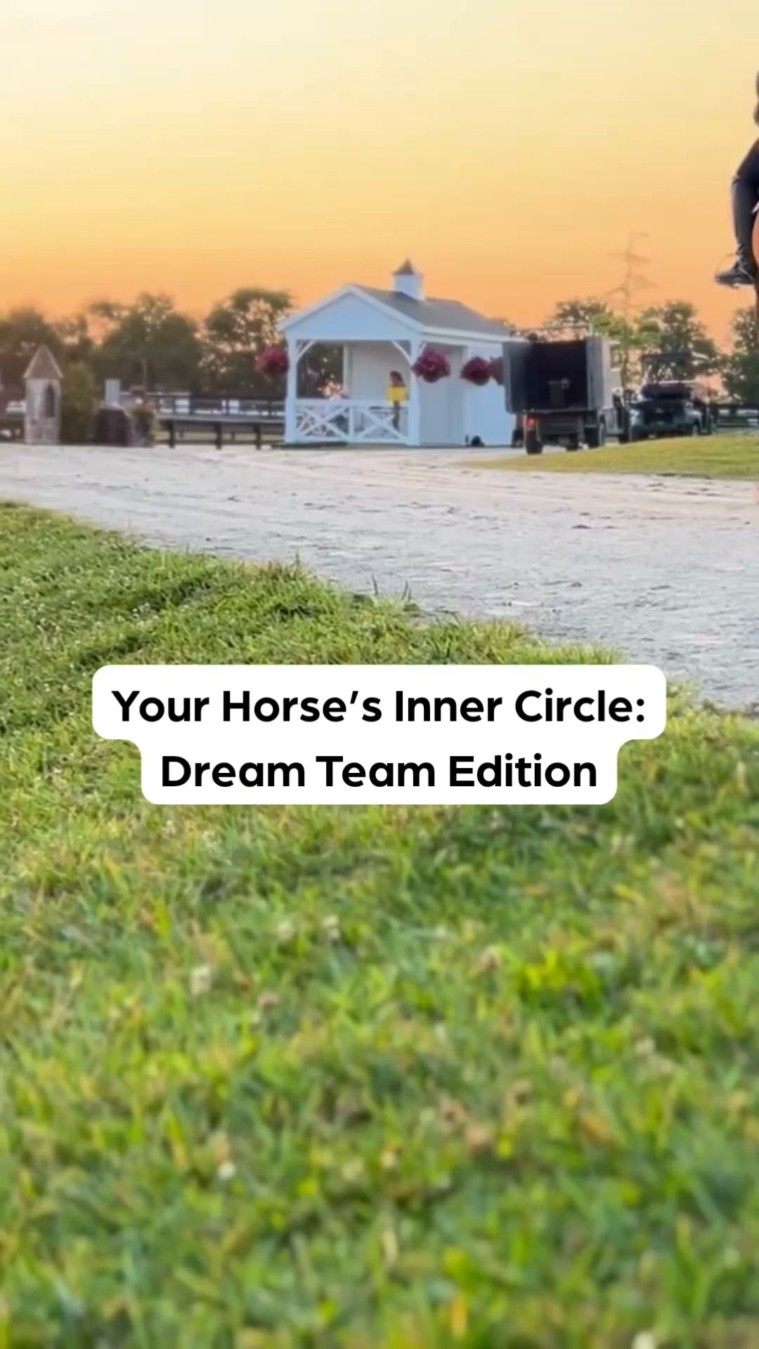 Zoetis Equine Facebook ad from Aug 7, 2026