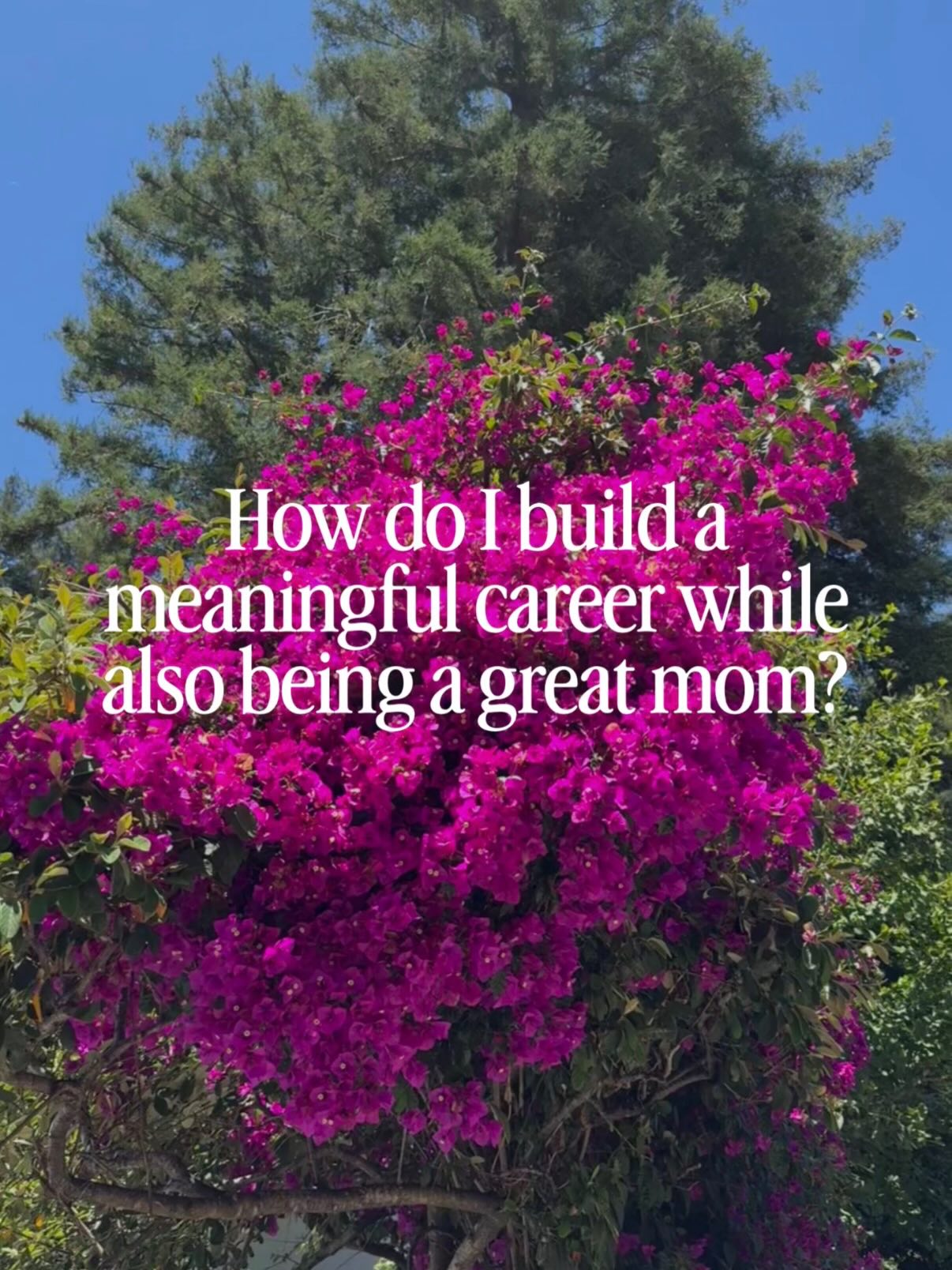 CEO of Motherhood Facebook ad: Find the Right Next Step for Your Career