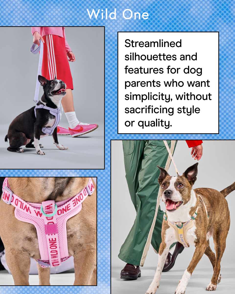 Wild One Facebook ad