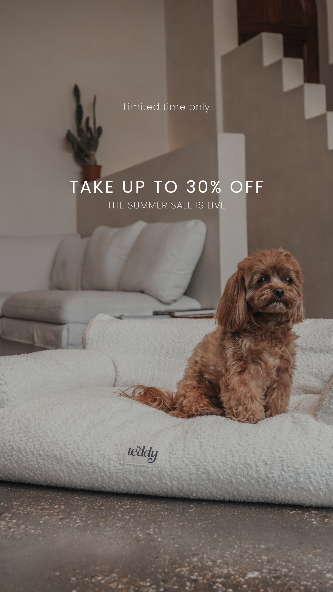 By Teddy Facebook ad