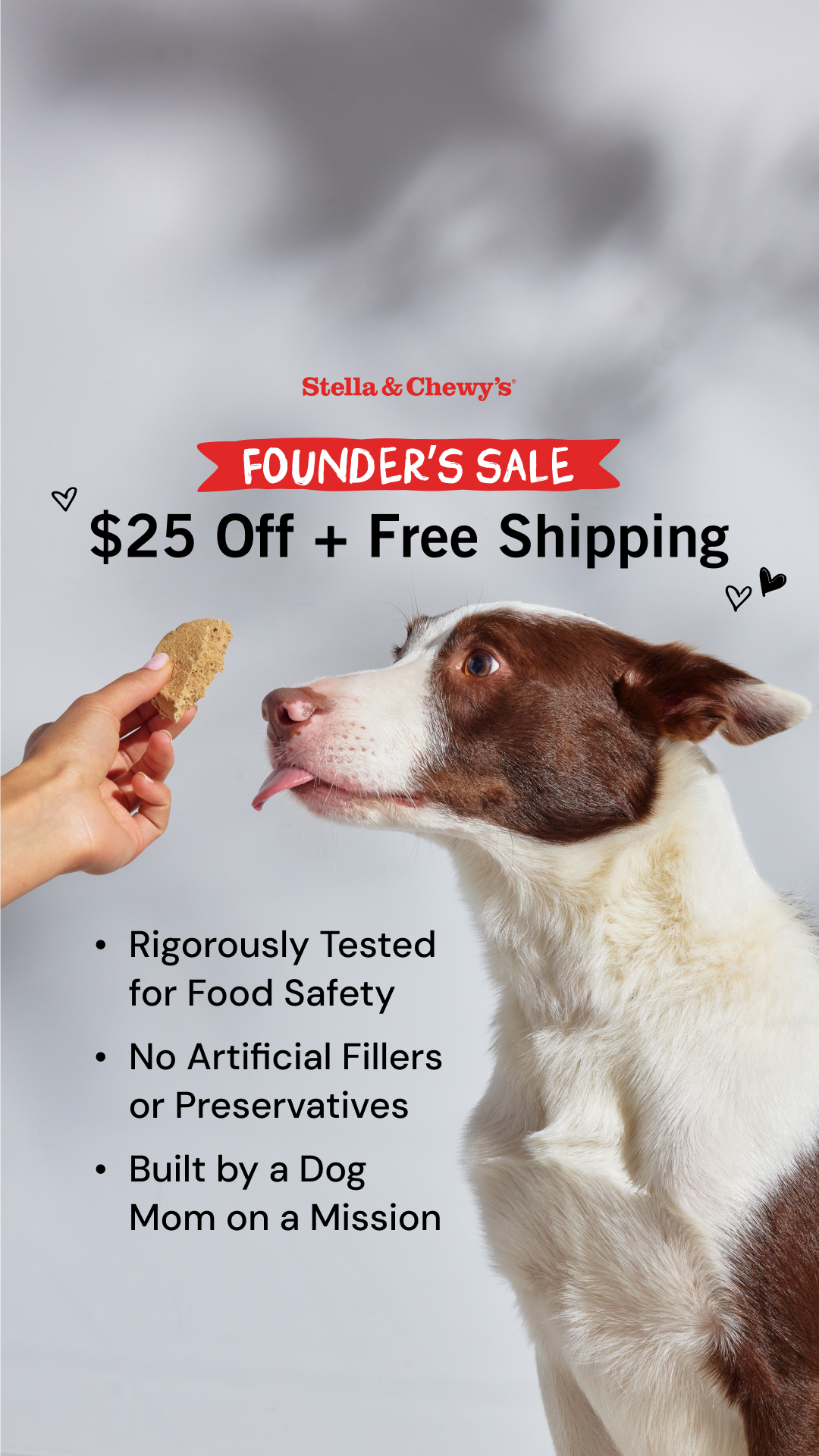 Stella & Chewy's Facebook ad