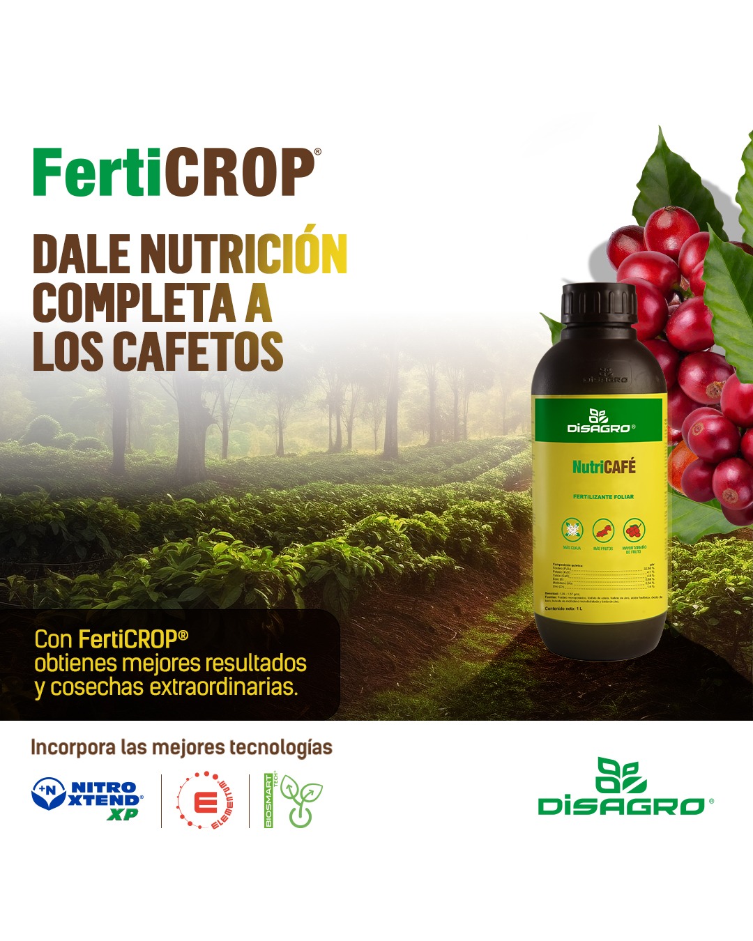 DISAGRO Honduras Facebook ad: Ayuda a tu cultivo en las 𝐞𝐭𝐚𝐩𝐚𝐬 𝐜𝐫𝐢́𝐭𝐢𝐜𝐚𝐬