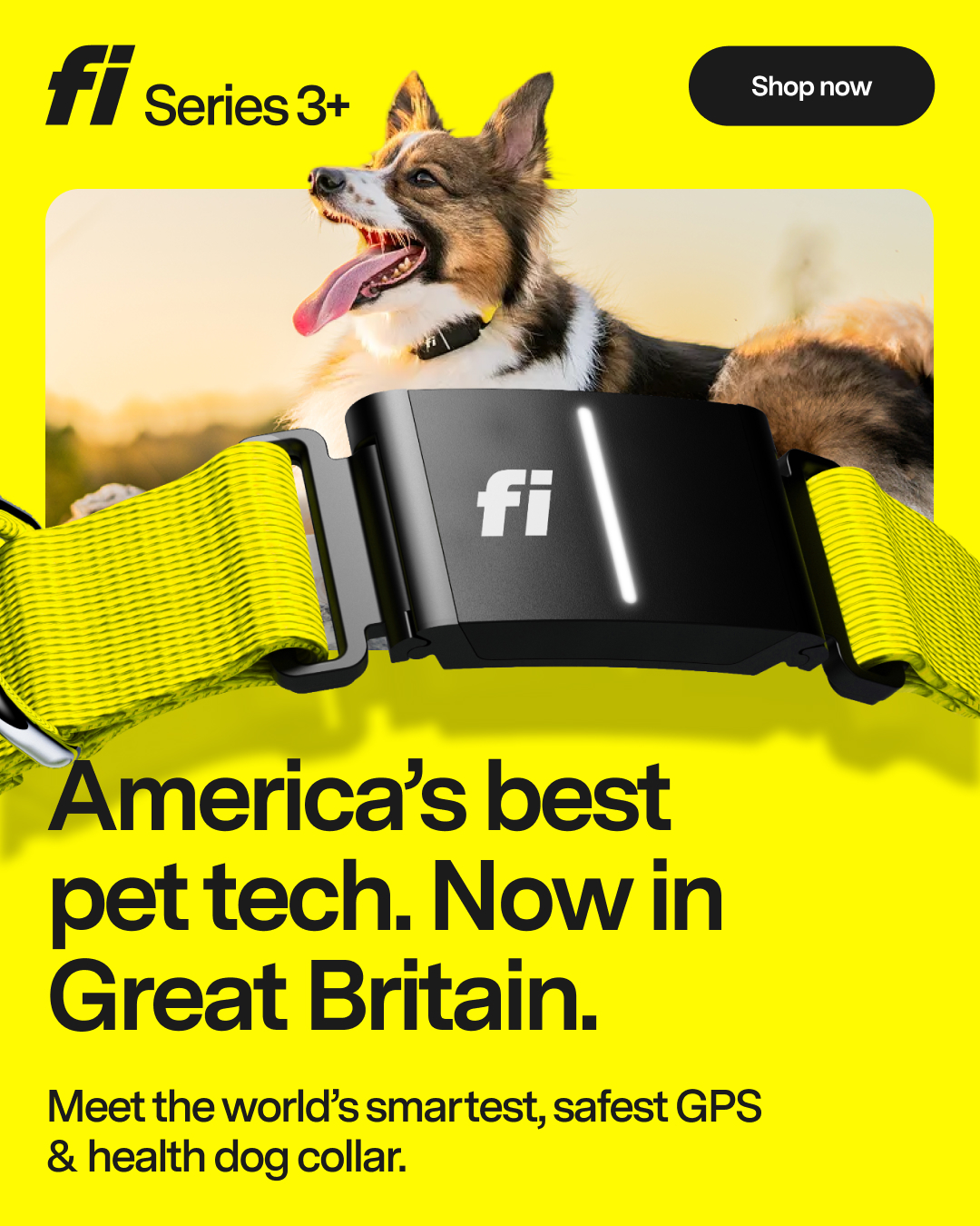 Fi Facebook ad