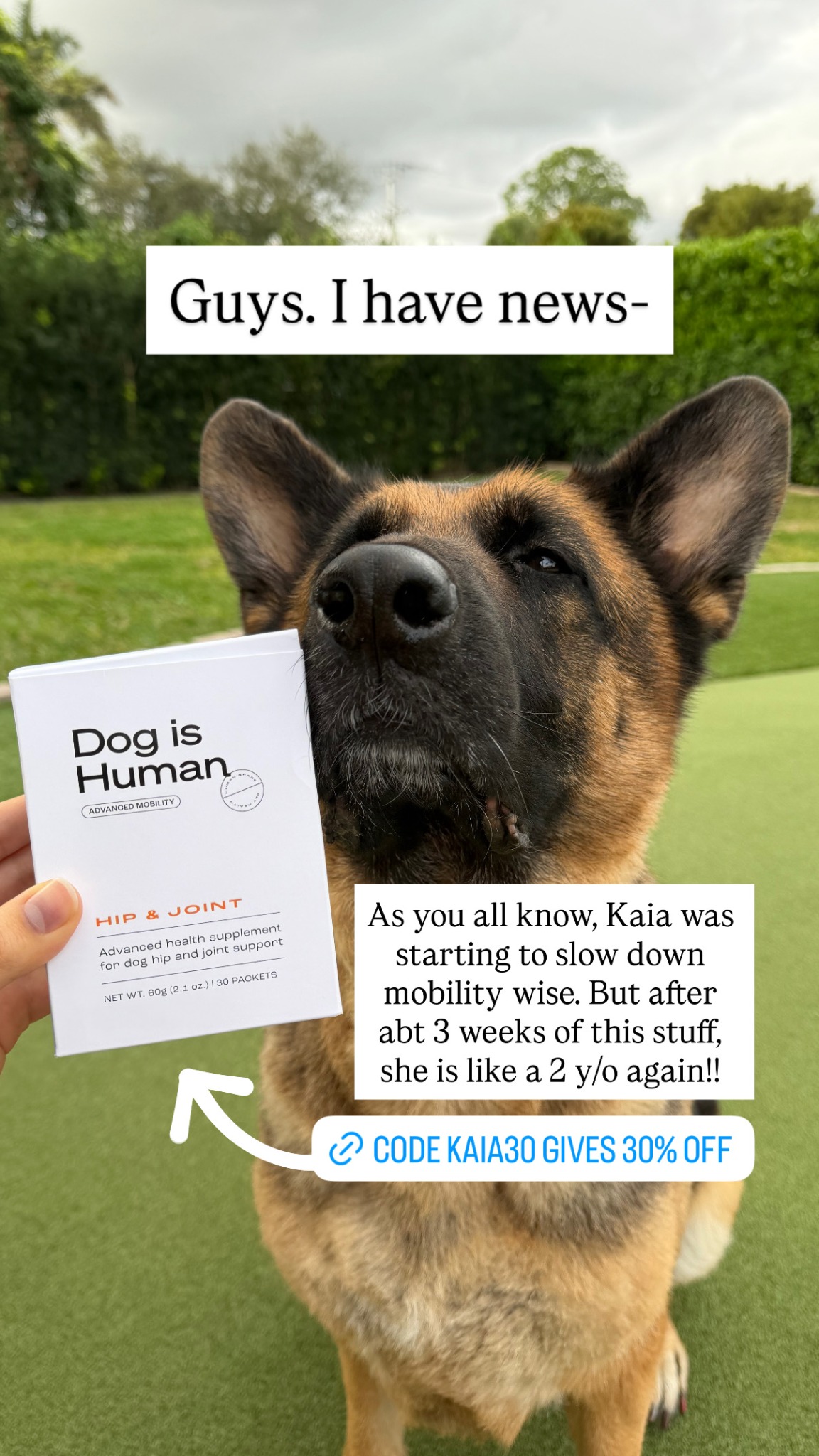 Dog is Human Facebook ad