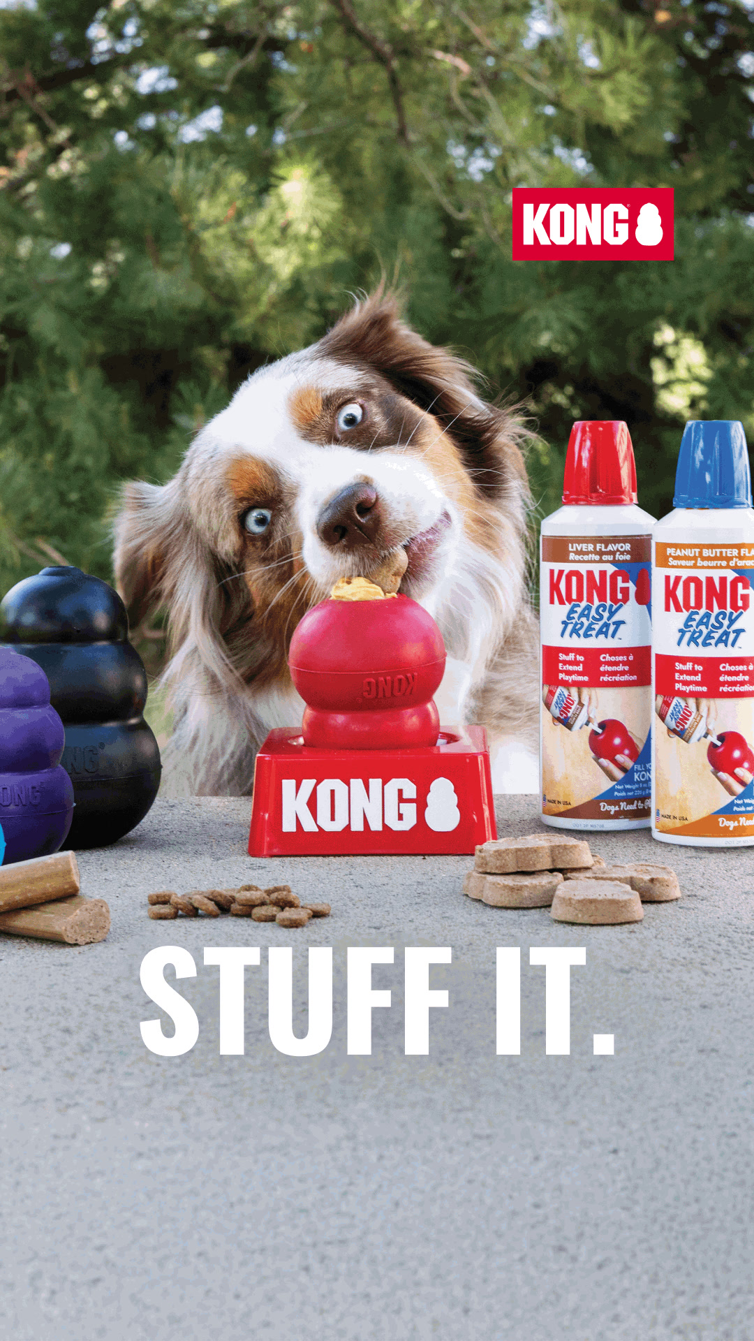 KONG Facebook ad from Aug 17, 2026
