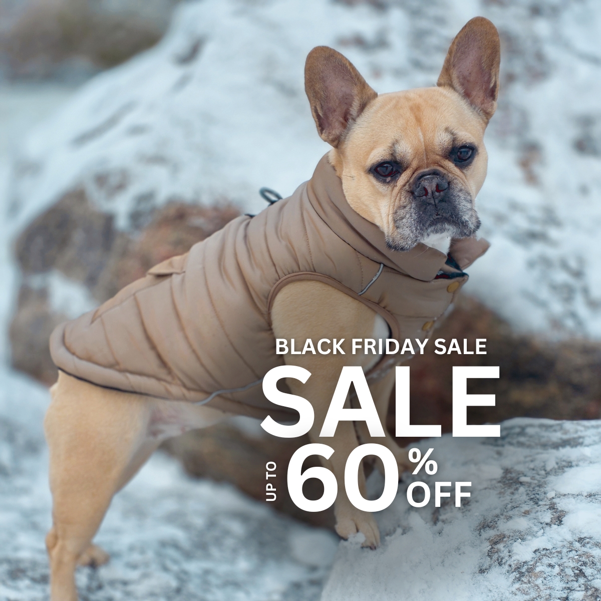 Spark Paws Facebook ad