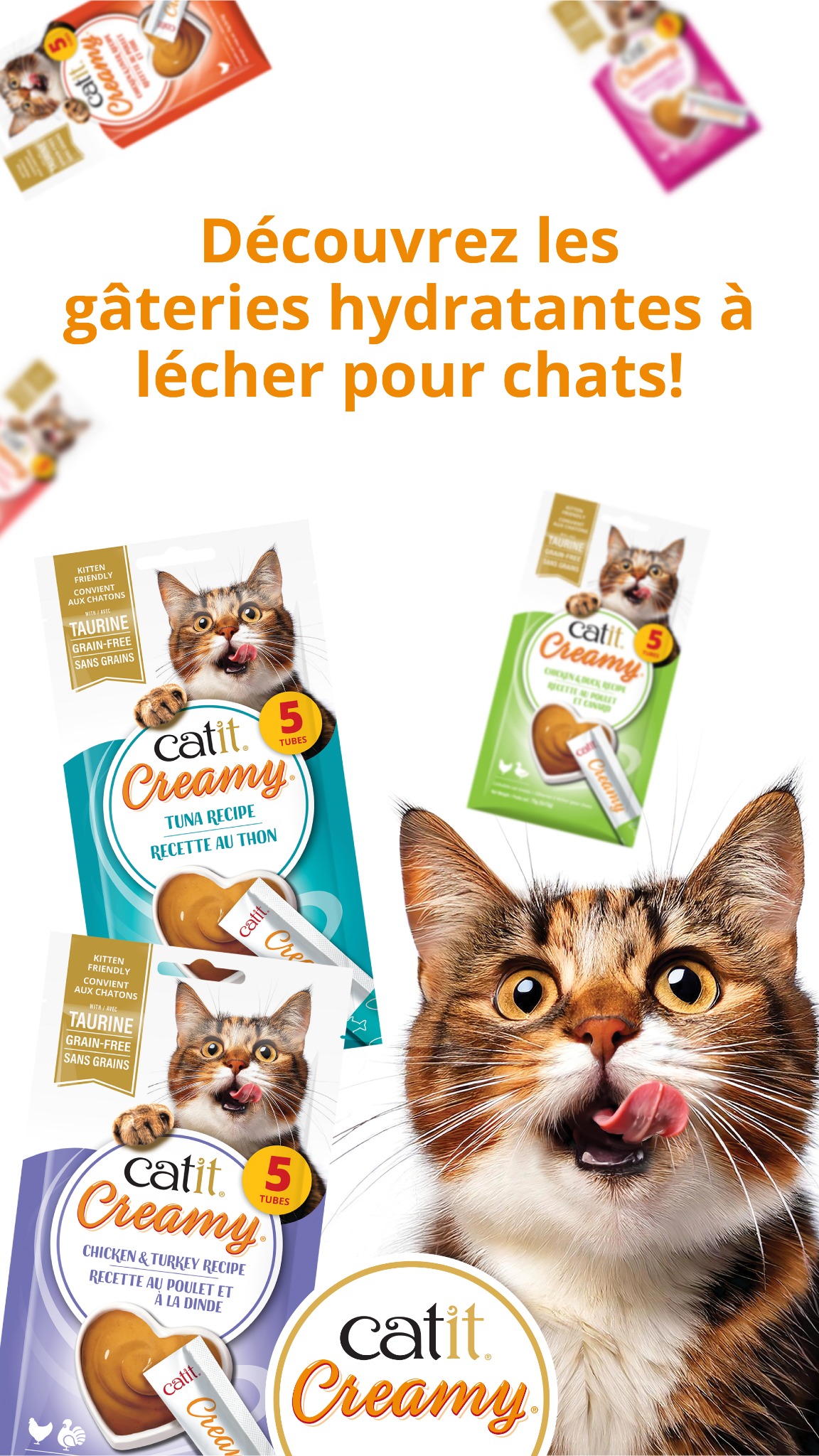 Catit Canada Facebook ad
