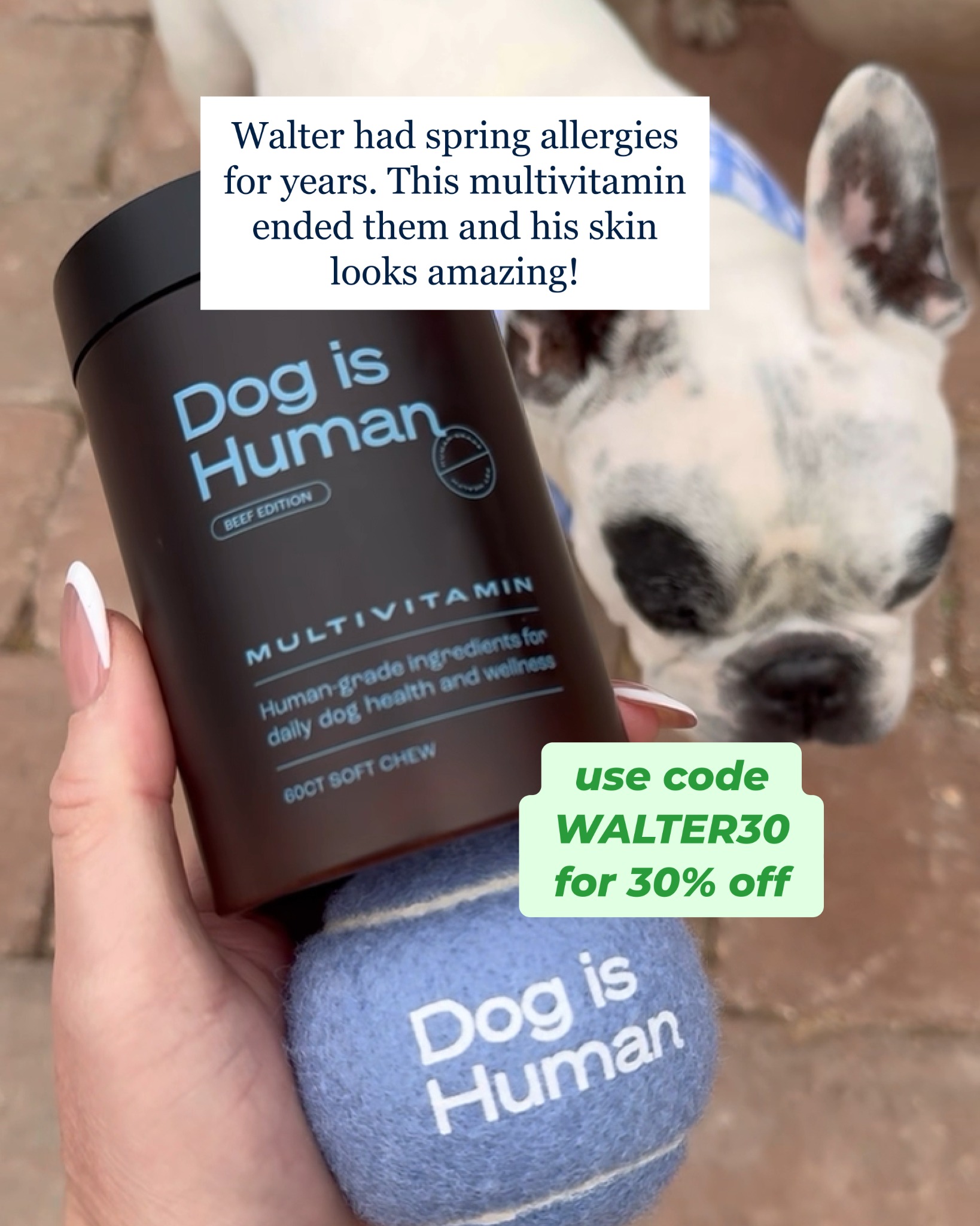 Dog is Human Facebook ad