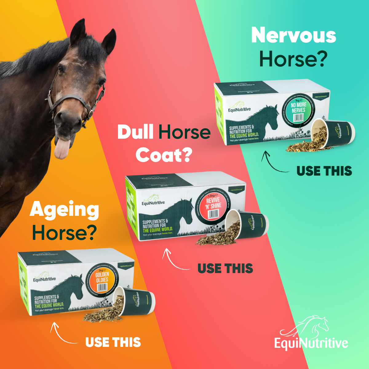 EquiNutritive Facebook ad