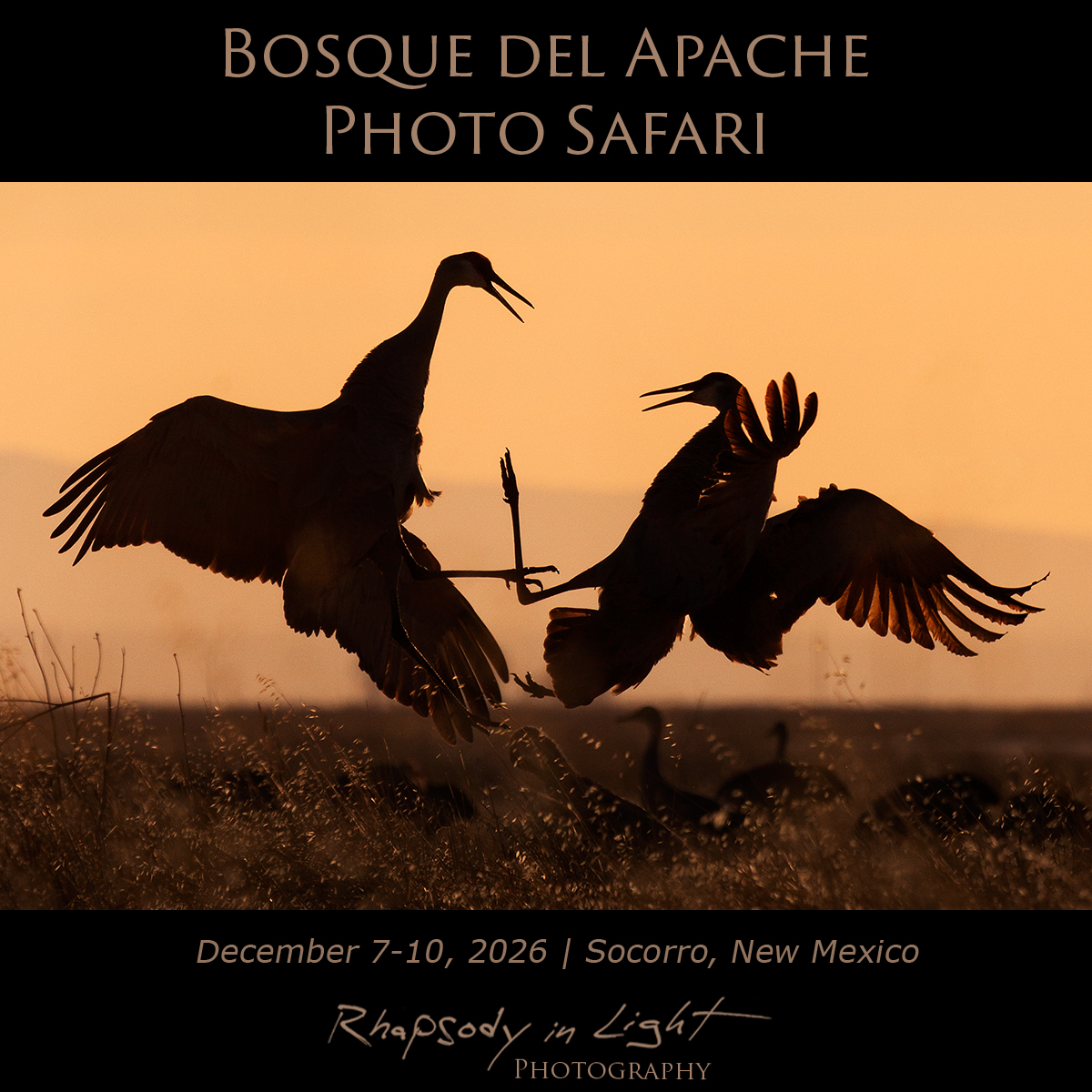 Rhapsody in Light Photo Workshops by Joseph Thomas Facebook ad: Every winter, one of North America's greatest wildlife…