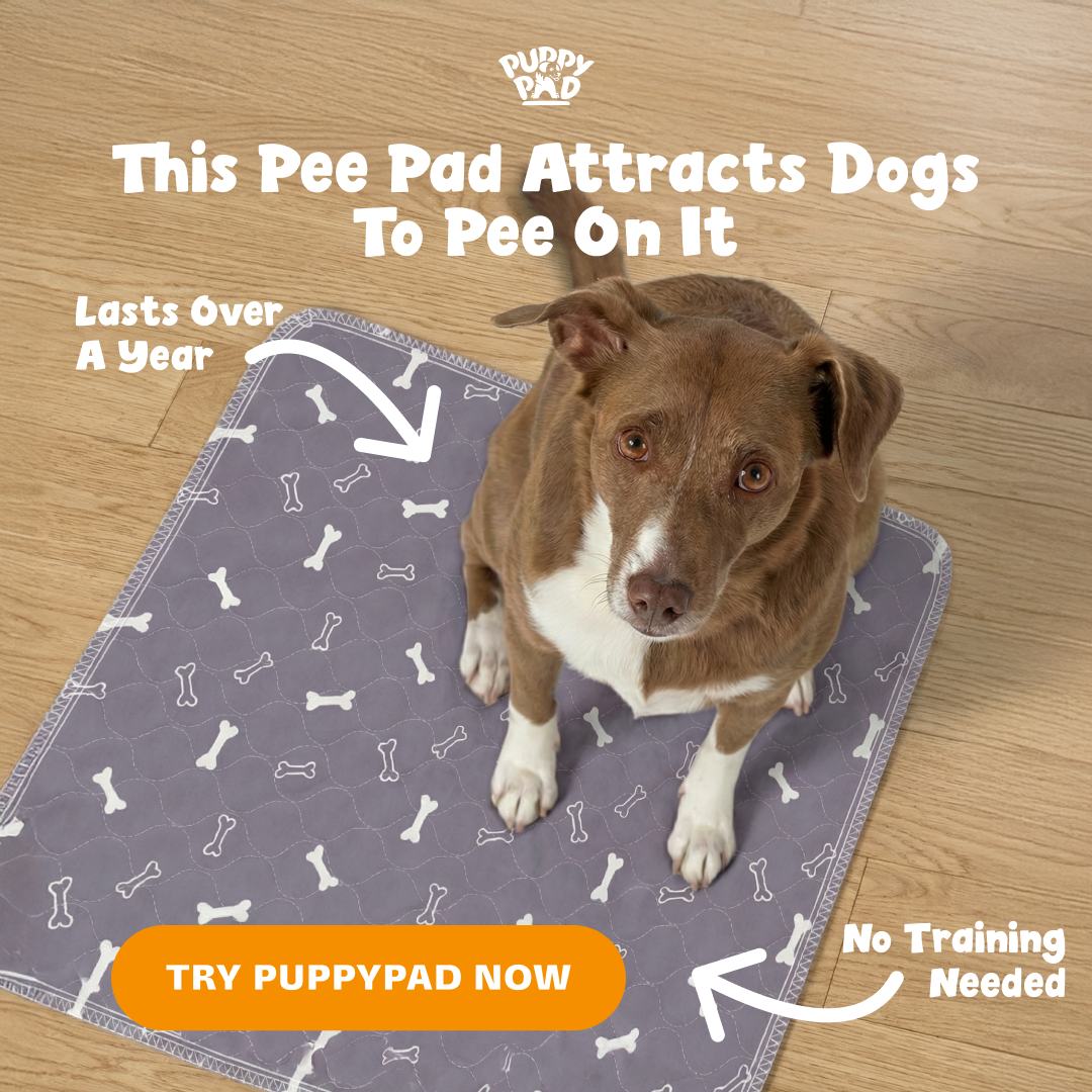 PuppyPad Facebook ad