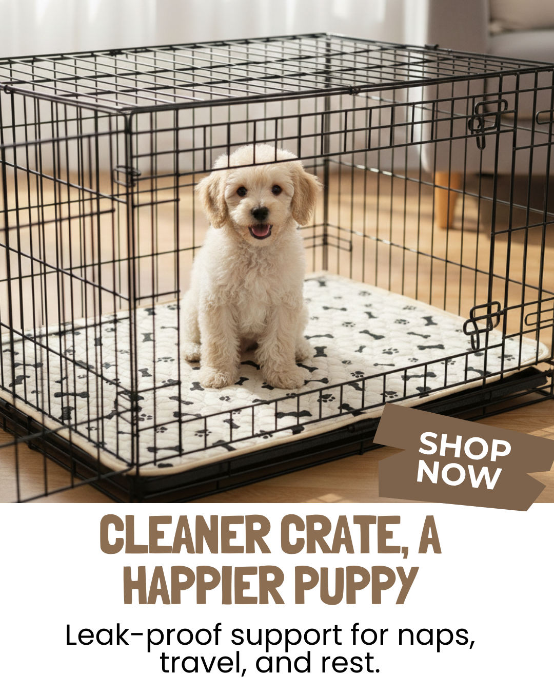 Potty Buddy Facebook ad