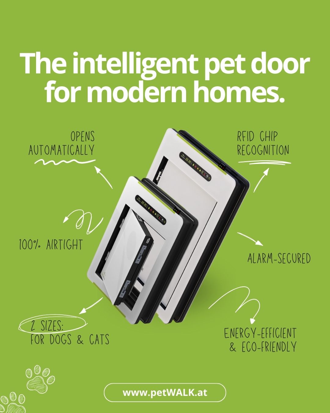 Petwalk Facebook ad: Design meets functionality