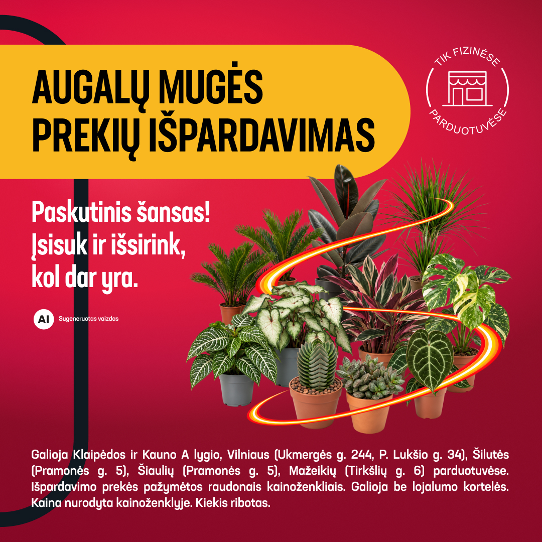 Senukai Facebook ad: Augalų mugės prekių išpardavimas