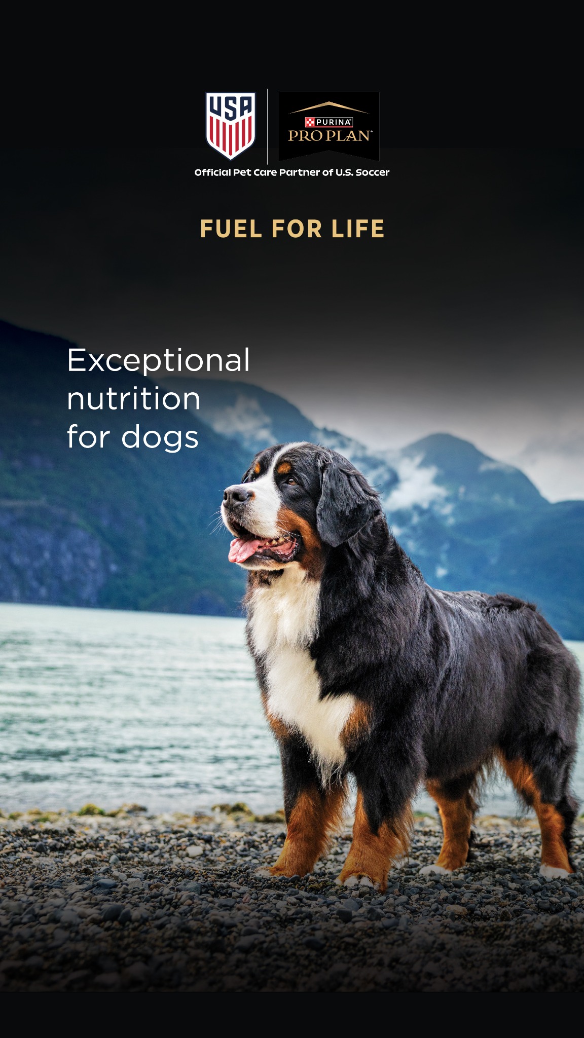 Pet Supplies Plus Facebook ad