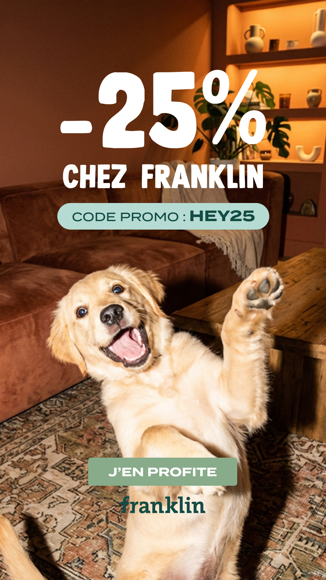 Franklin Pet Food Facebook ad