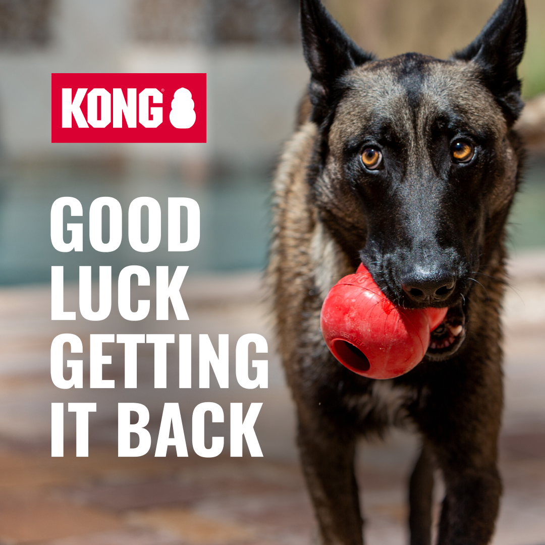 KONG Facebook ad