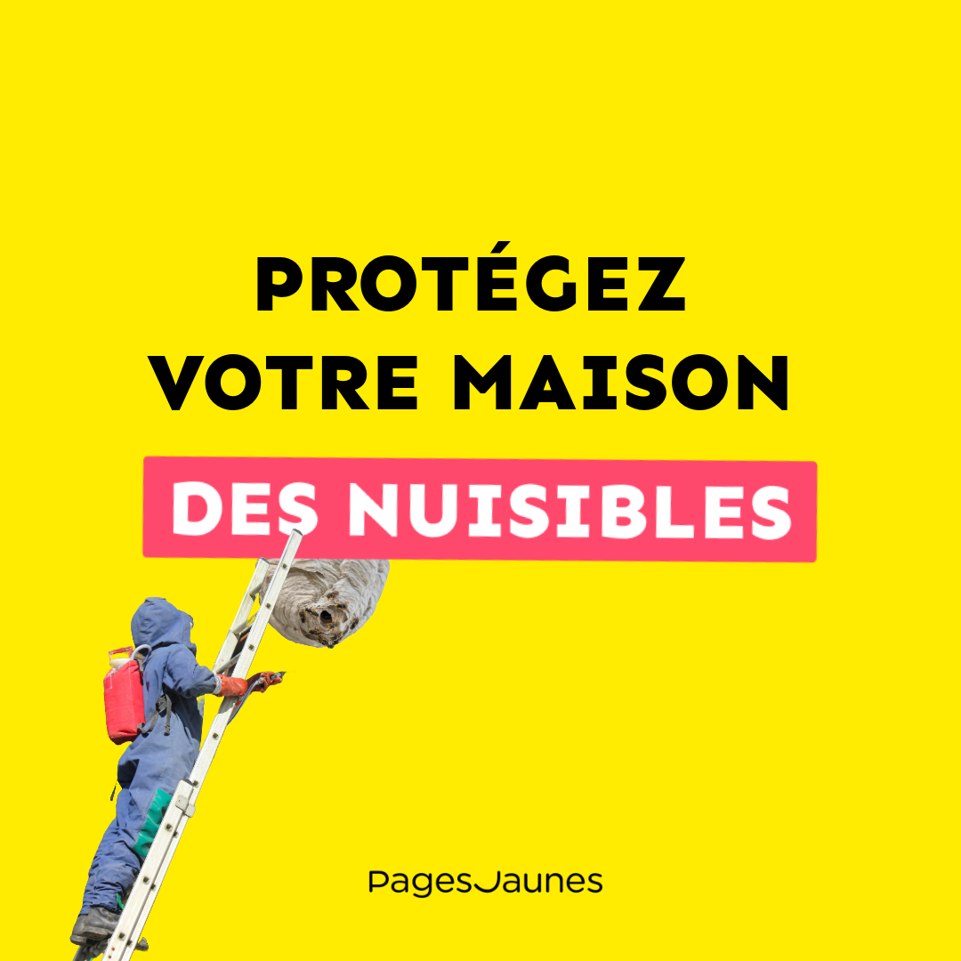 PagesJaunes Facebook ad
